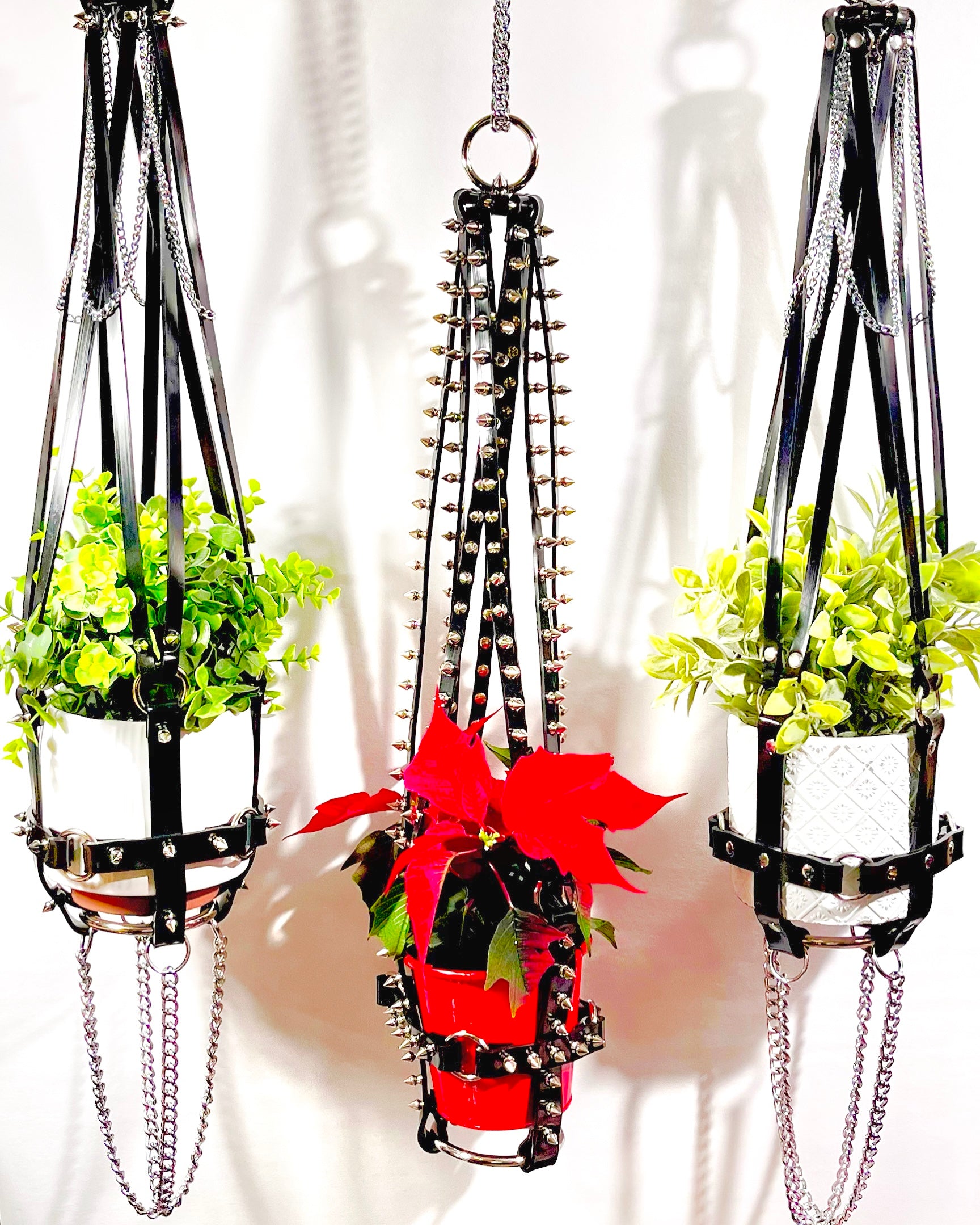 harness plant hanger Basic Bitch 6" Vegan Plant Hanger – Puritan Candy