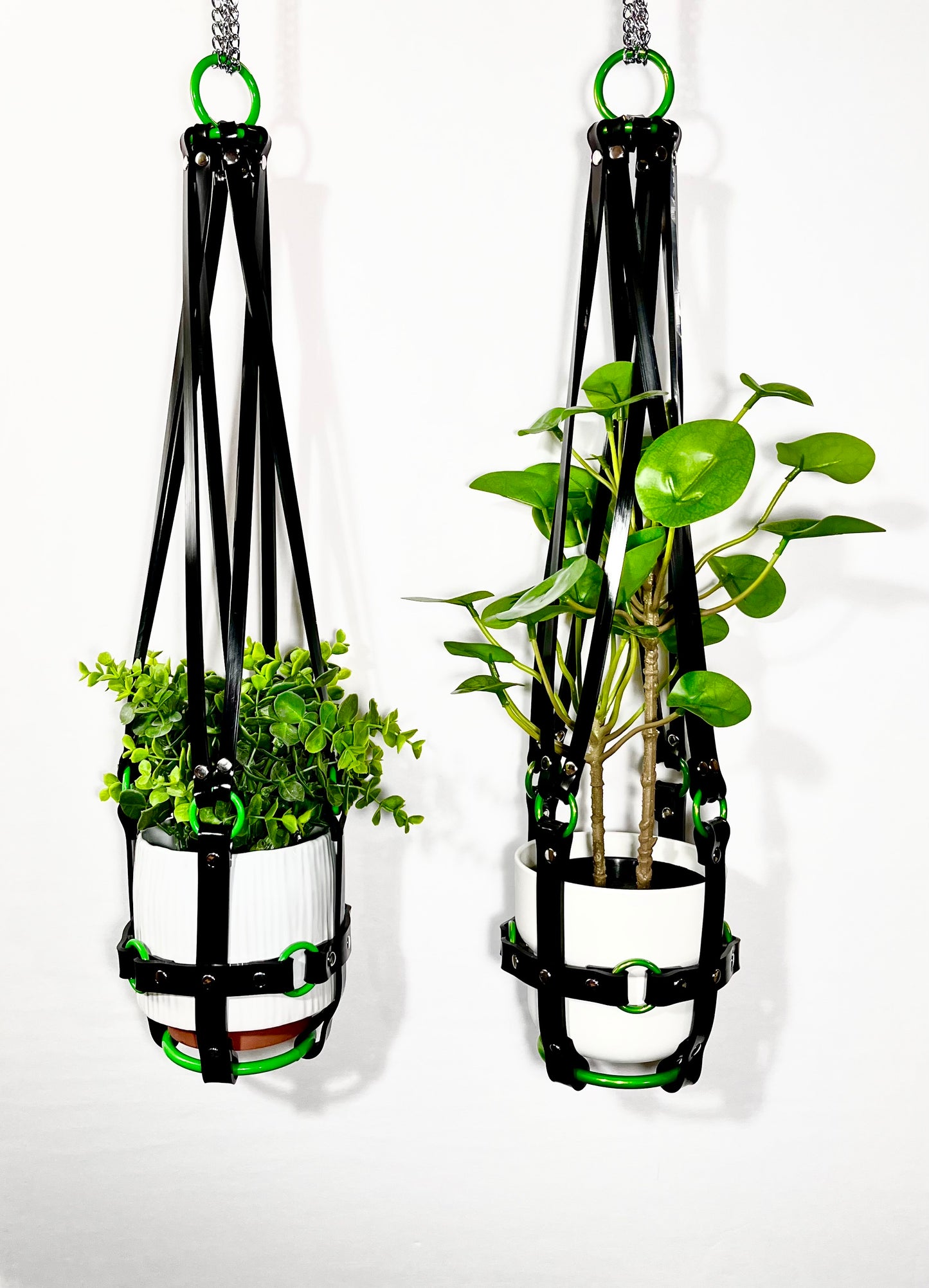 Basic Bitch 6” Plant Hanger with Green rings