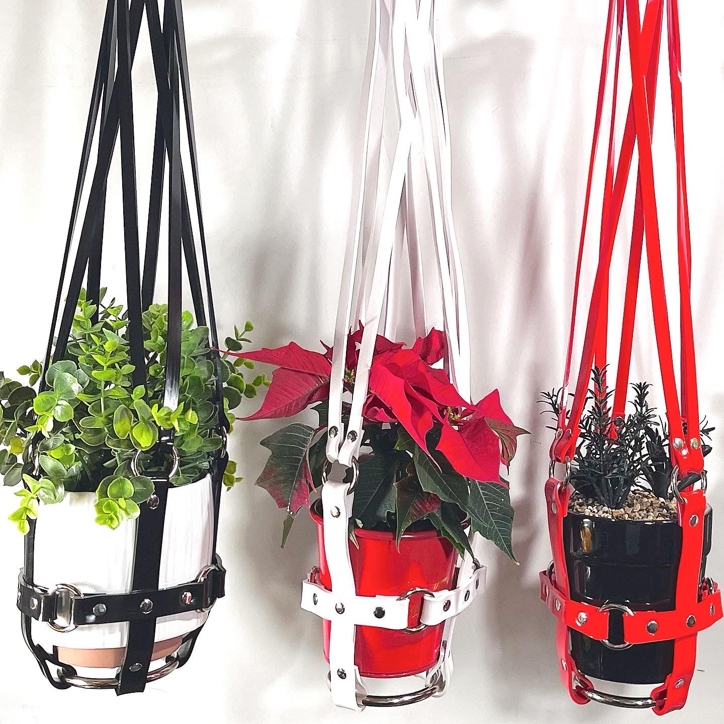 Basic Bitch 6" Vegan Plant Hanger