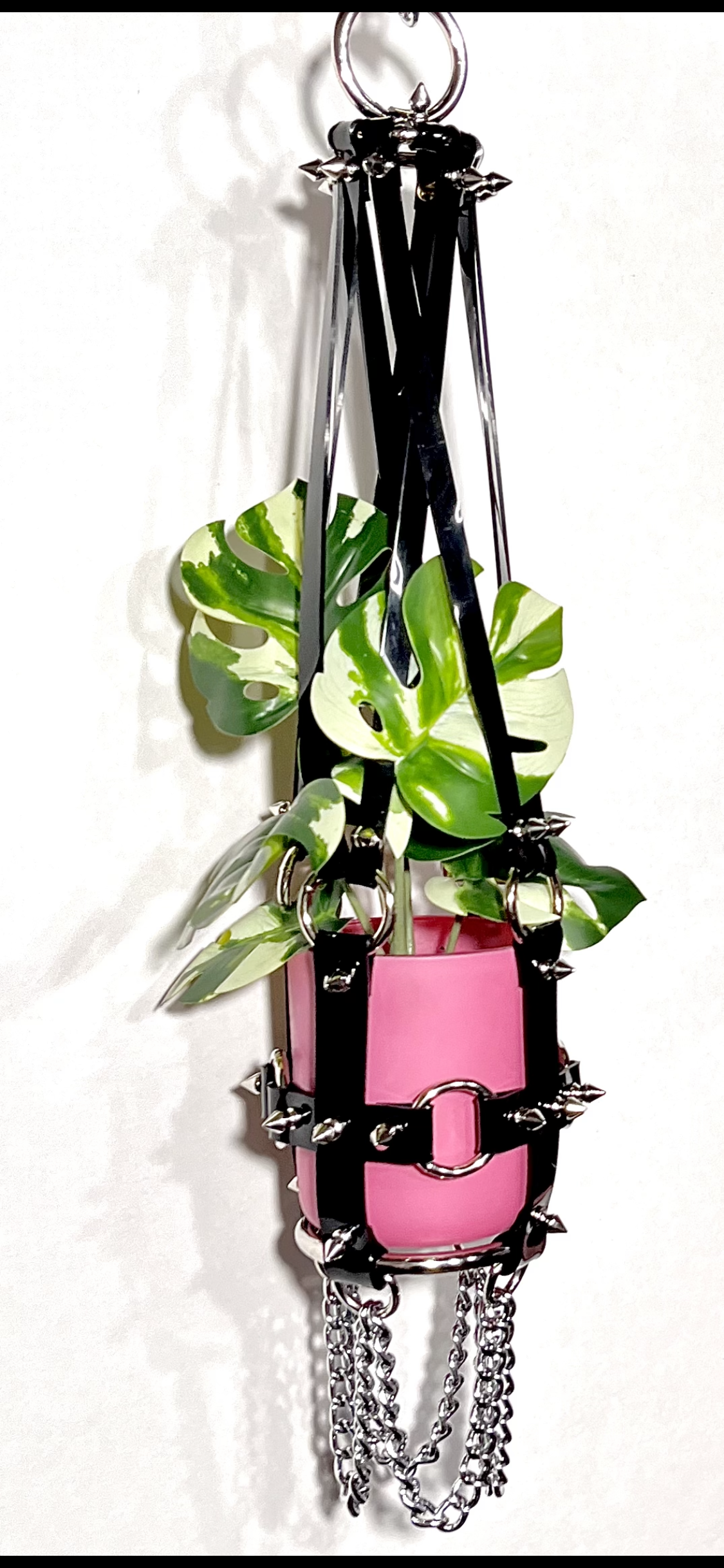 Little Bitch 4" Vegan Plant Hanger