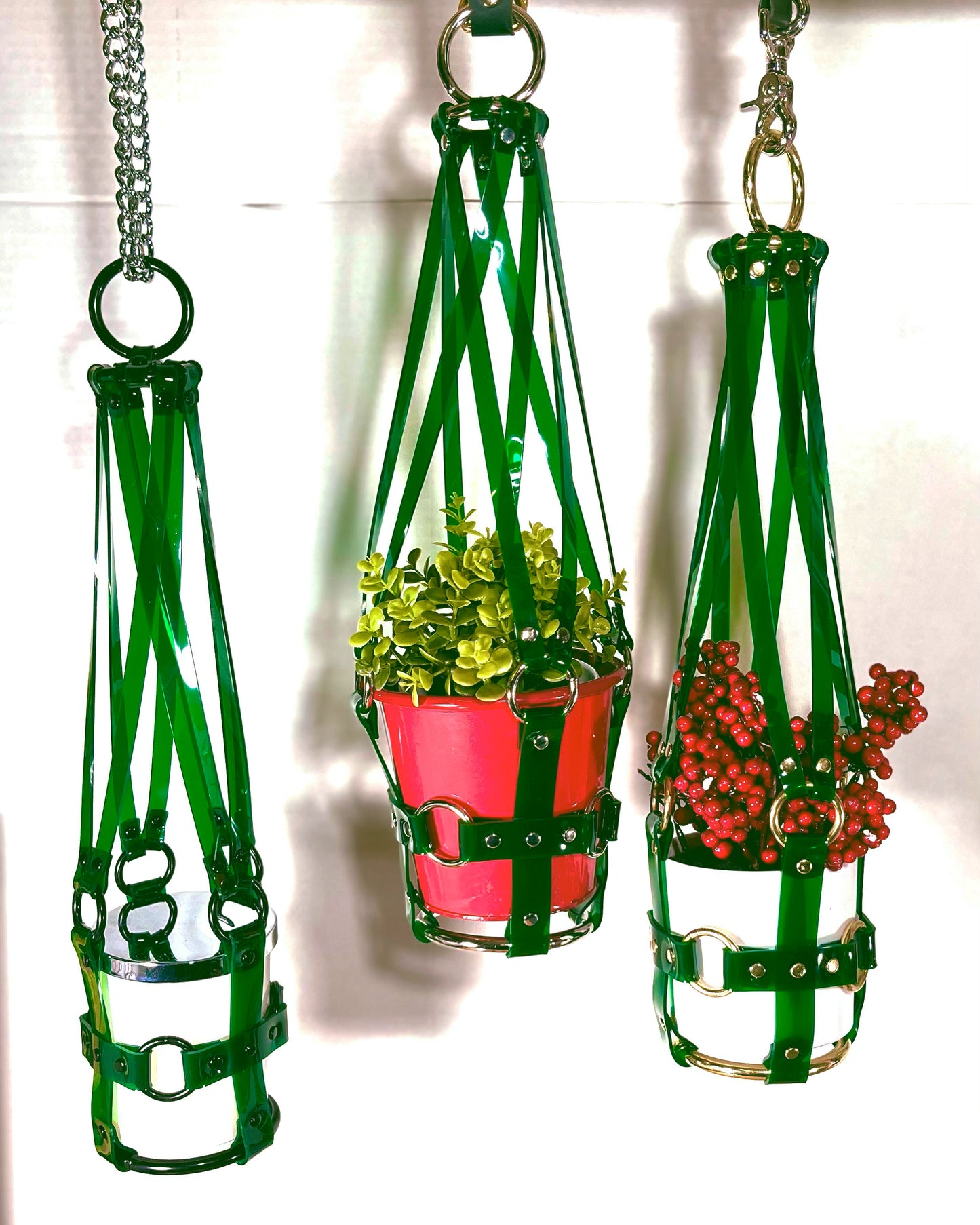 Little Bitch 4" Plant Hanger in Green
