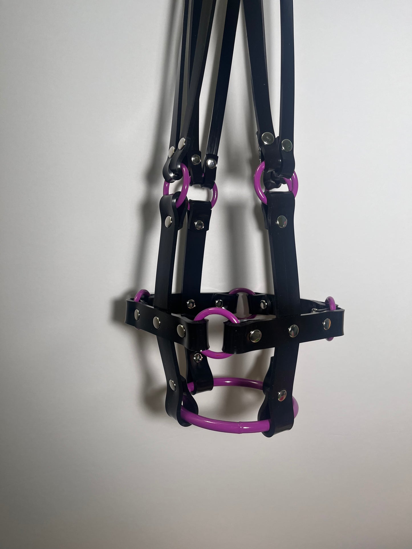 Basic Bitch 6" Plant Hanger with Purple rings