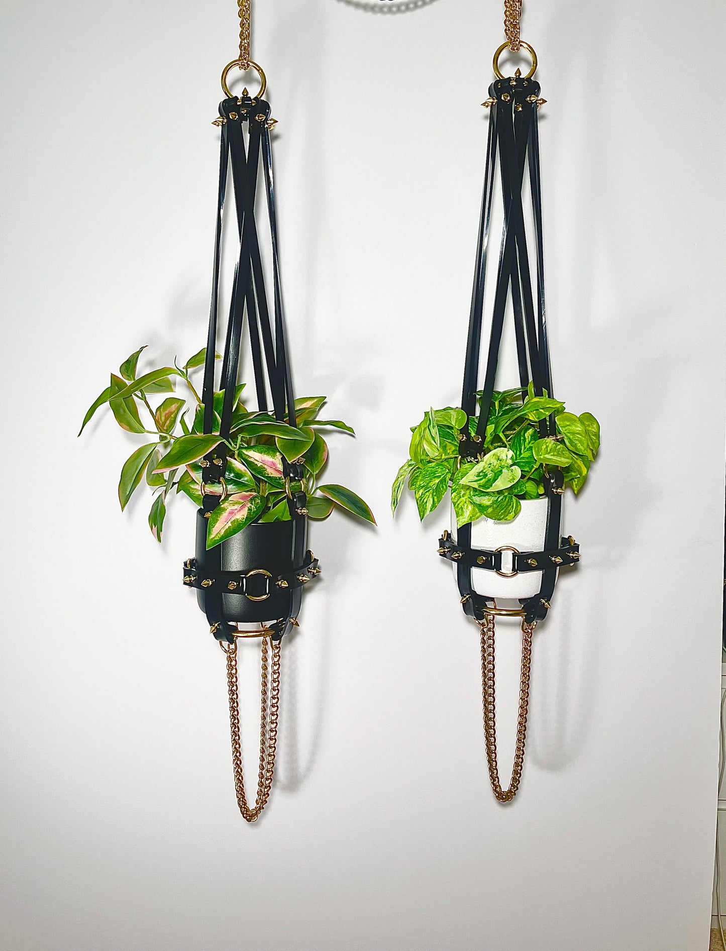 Basic Bitch 6" Plant Hanger in Black