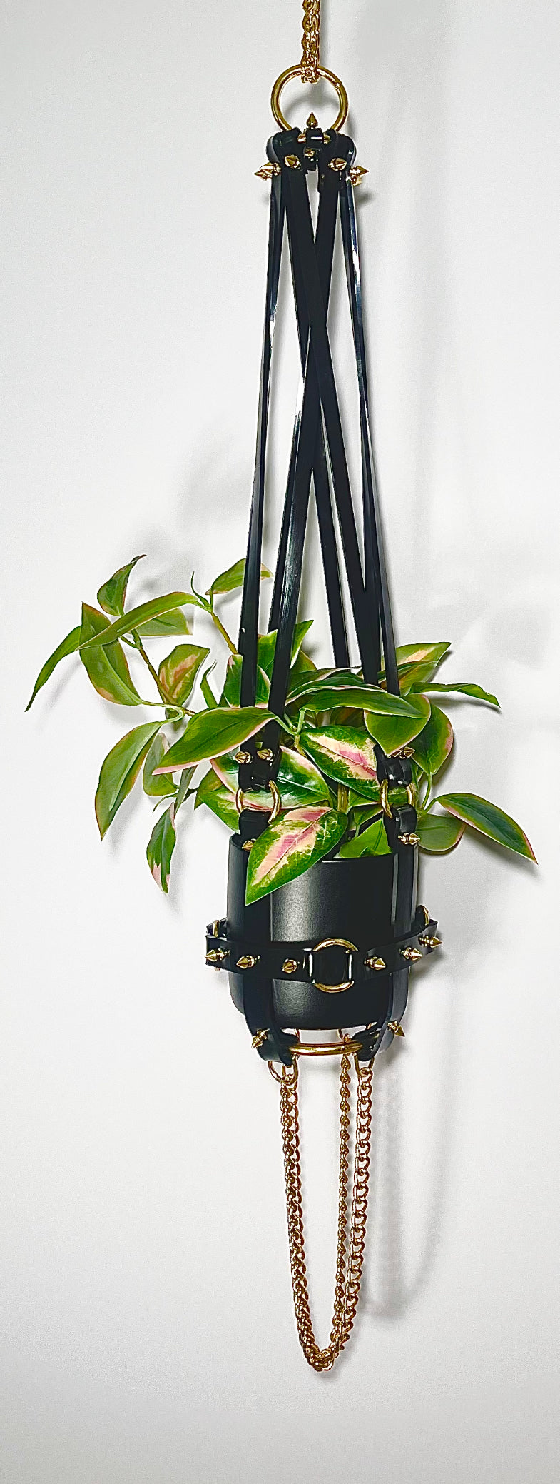 Basic Bitch 6" Plant Hanger in Black