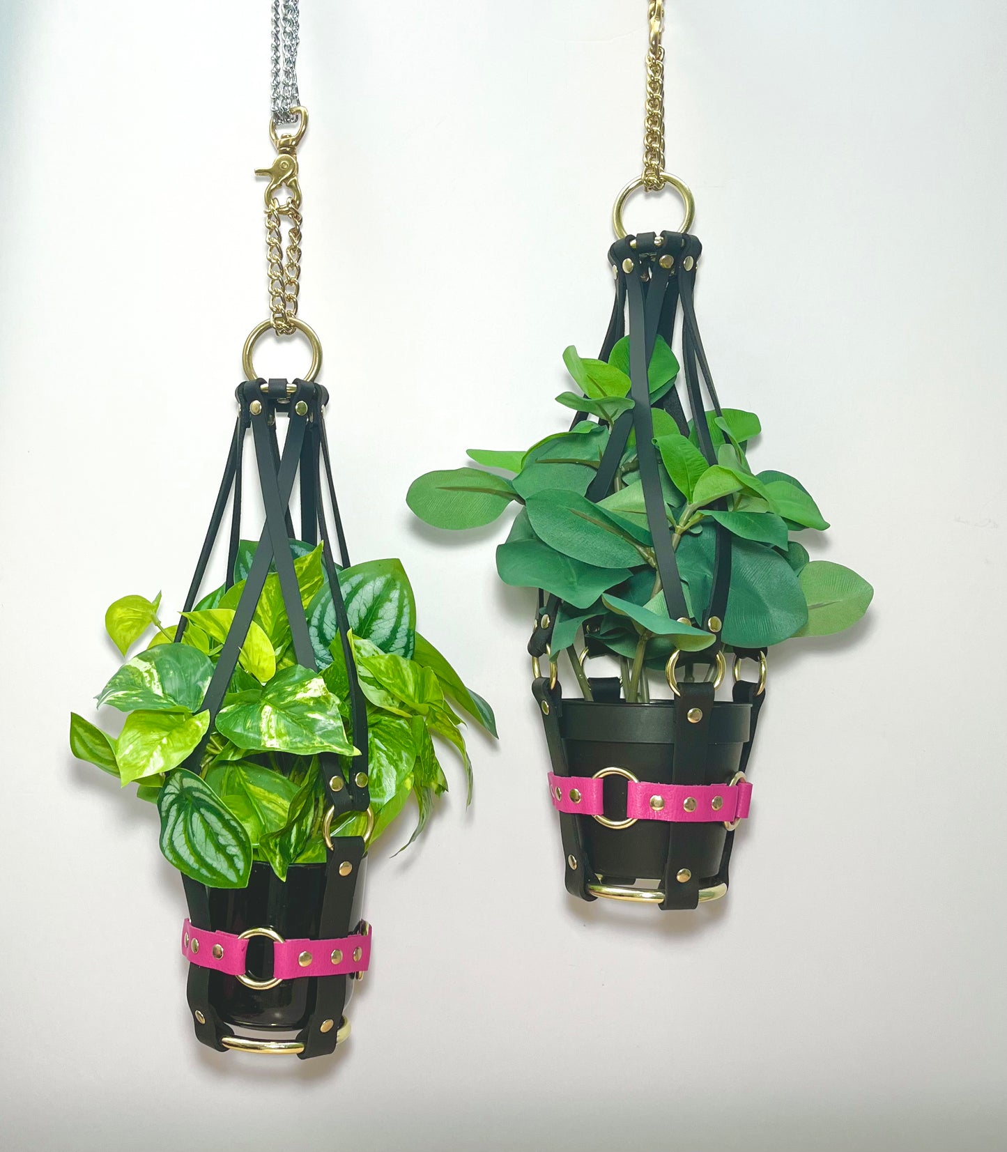 Daddy's Little Princess 4" Plant Hanger