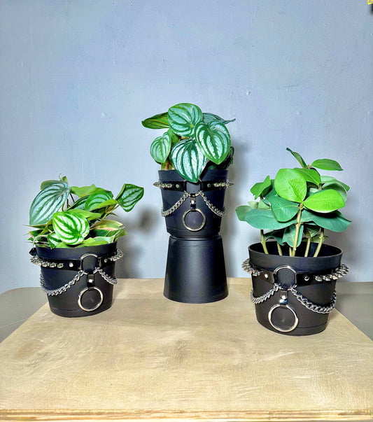 6" Vegan Pot Harness