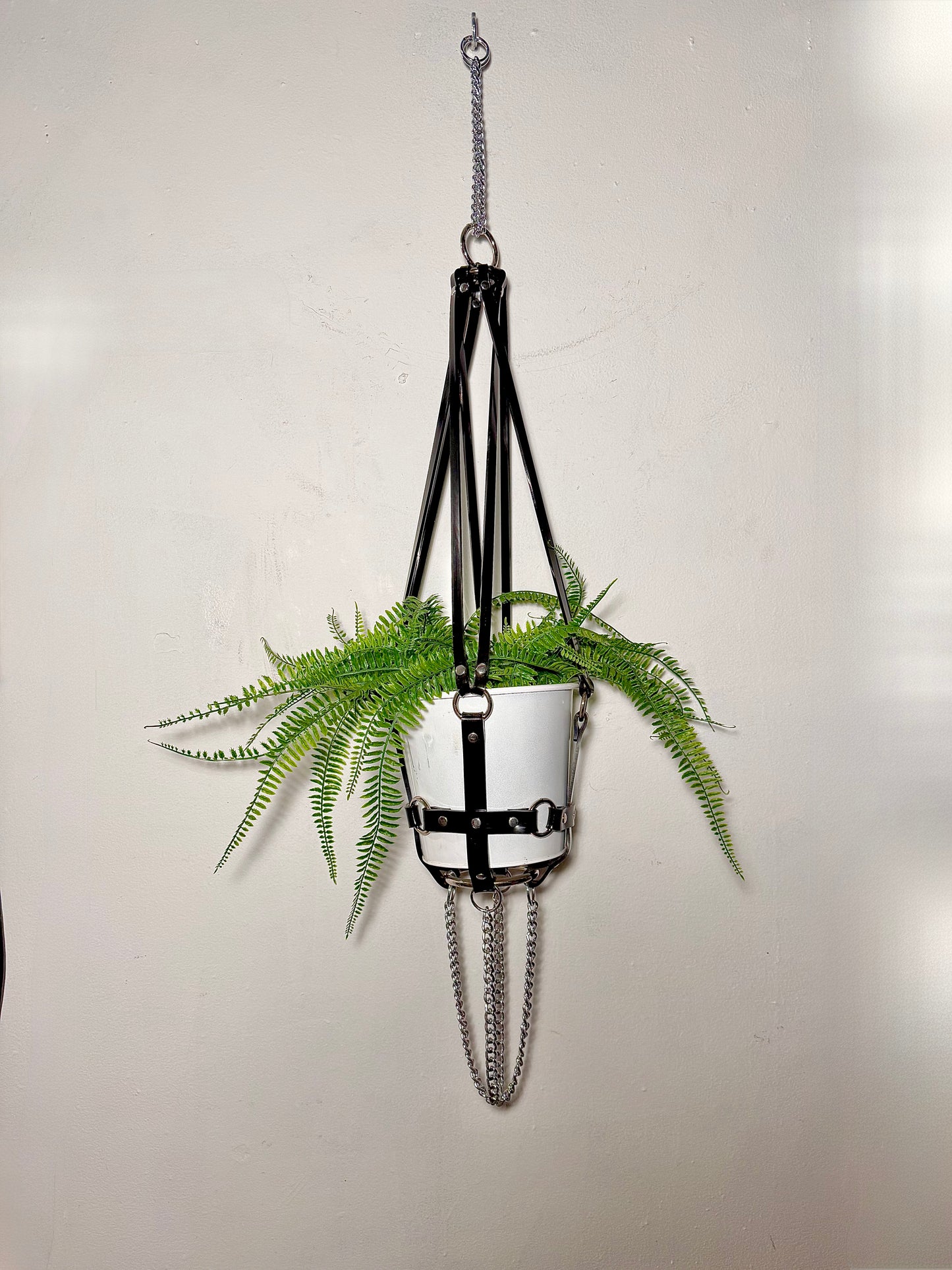 Basic Bitch 6" Vegan Plant Hanger