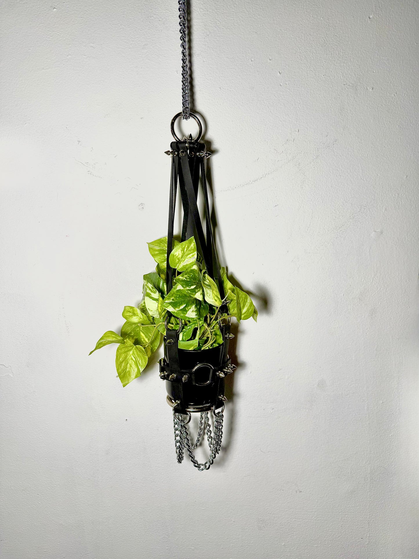 Little Leather Daddy 4" Plant Hanger in Black