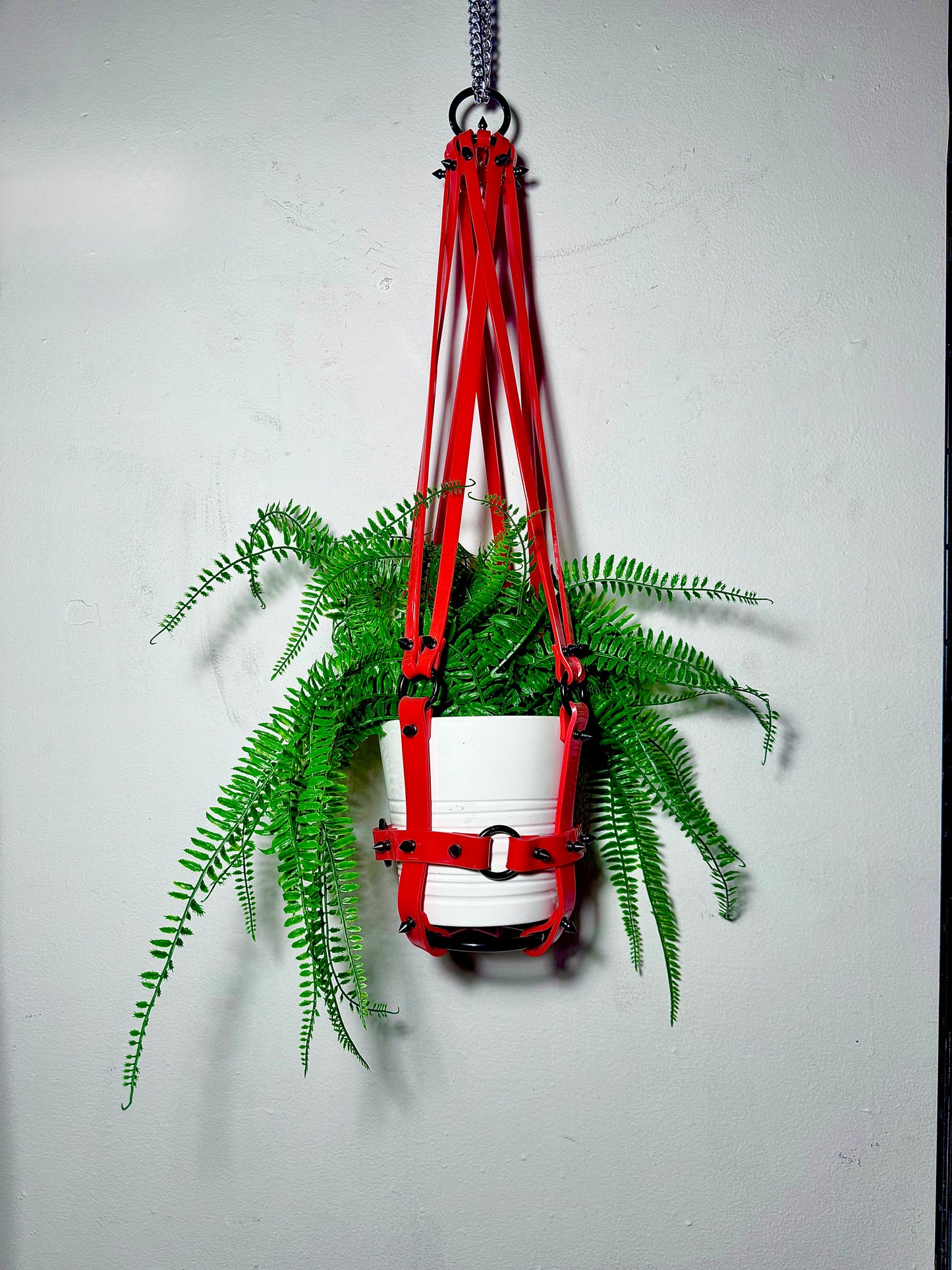 Basic Bitch 6" Vegan Plant Hanger