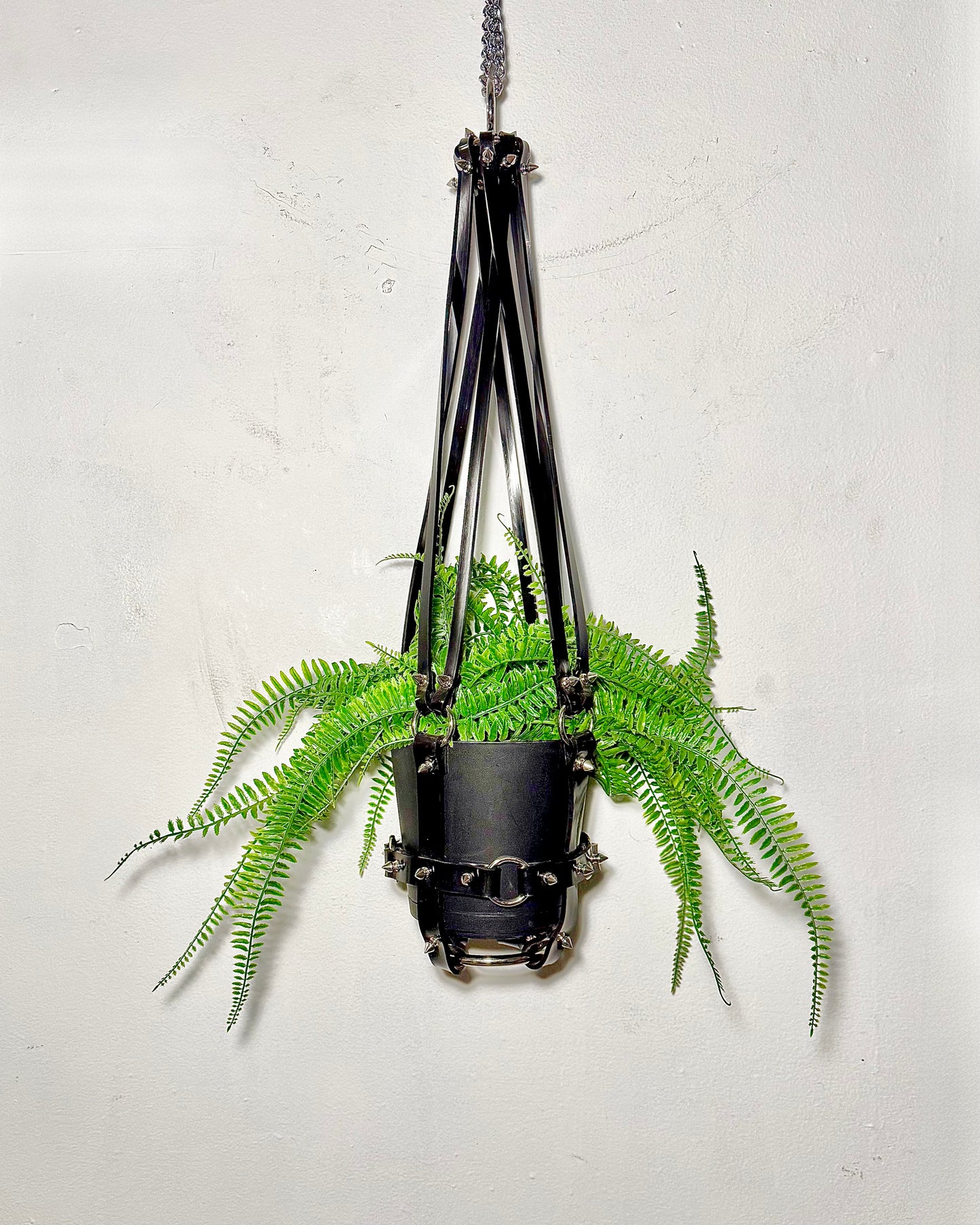 Basic Bitch 6" Vegan Plant Hanger