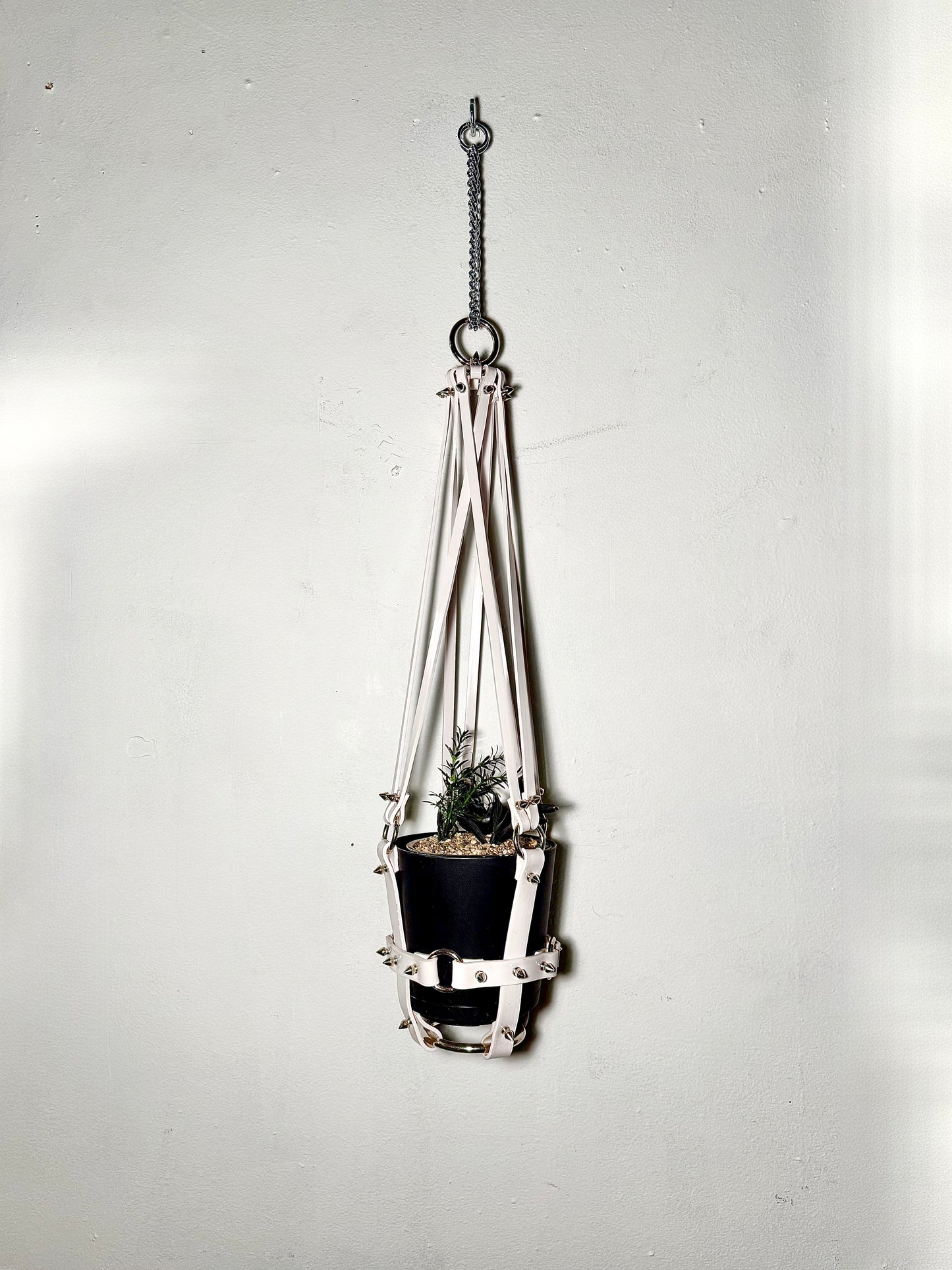 Basic Bitch 6" Vegan Plant Hanger