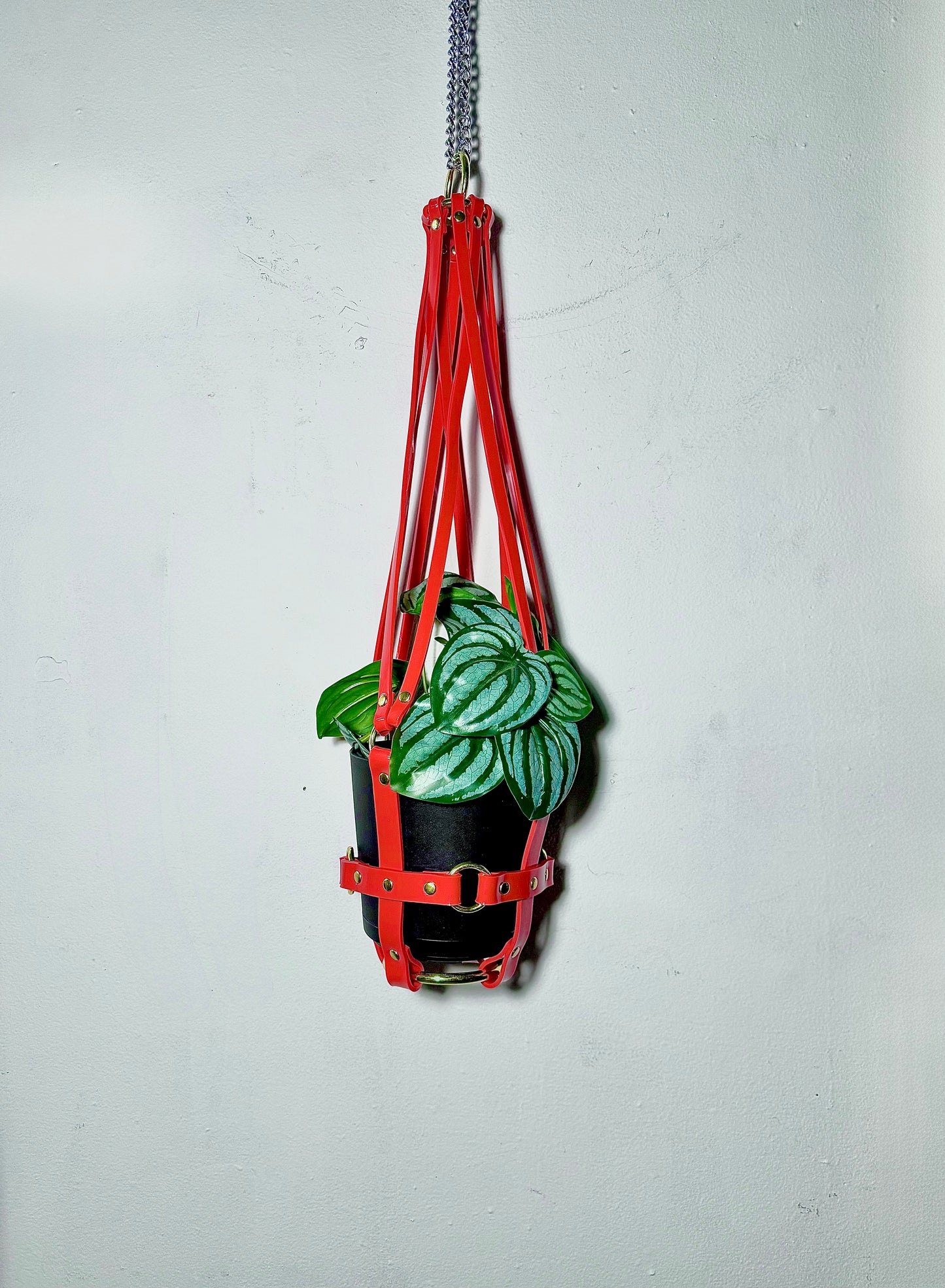 Basic Bitch 6" Vegan Plant Hanger