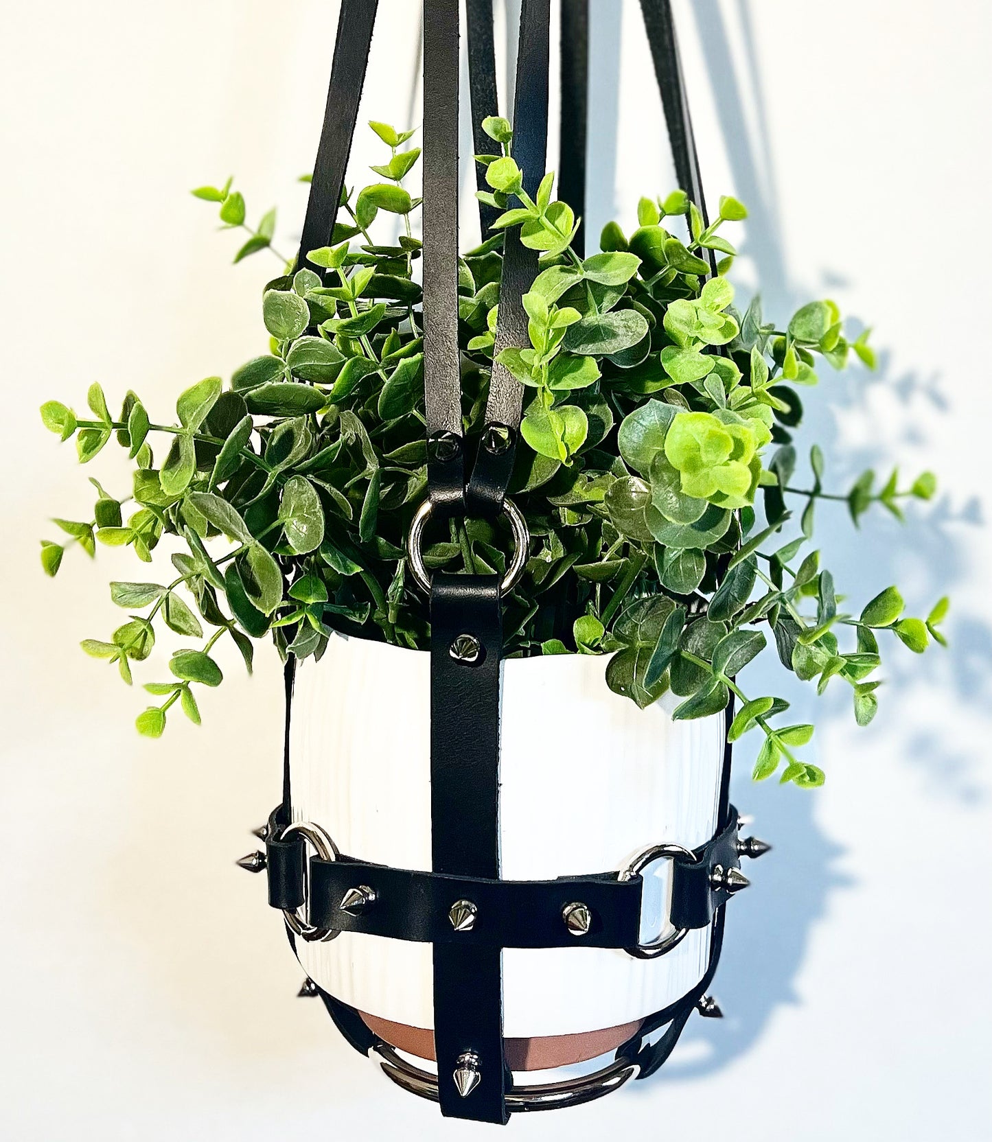 Leather Daddy 6" plant hanger