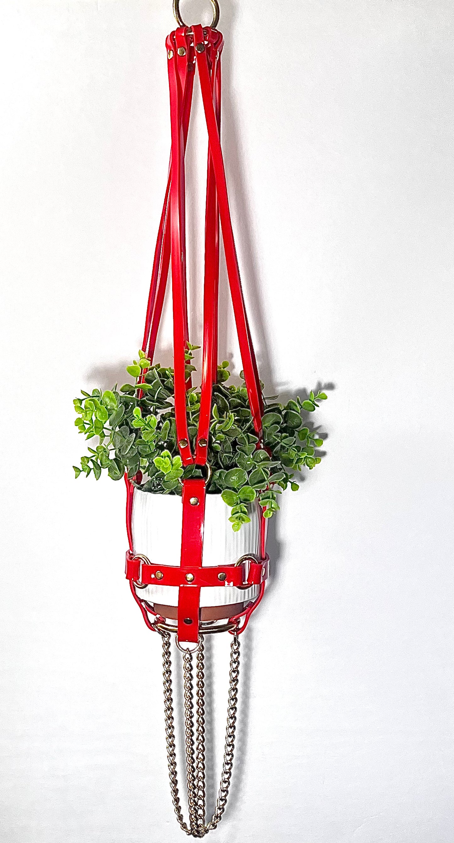 Basic Bitch 6" Vegan Plant Hanger
