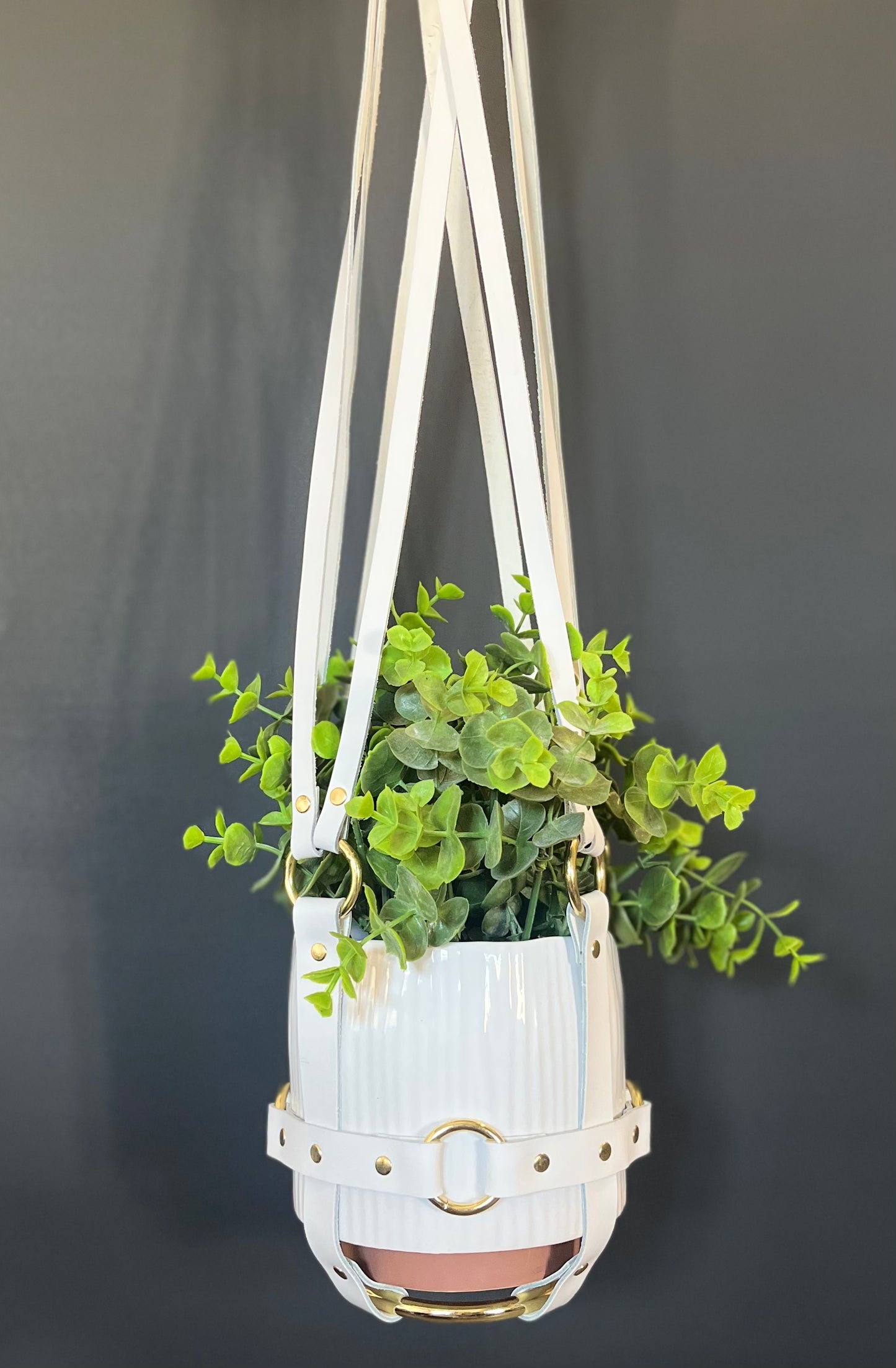 Basic Bitch 6" Vegan Plant Hanger