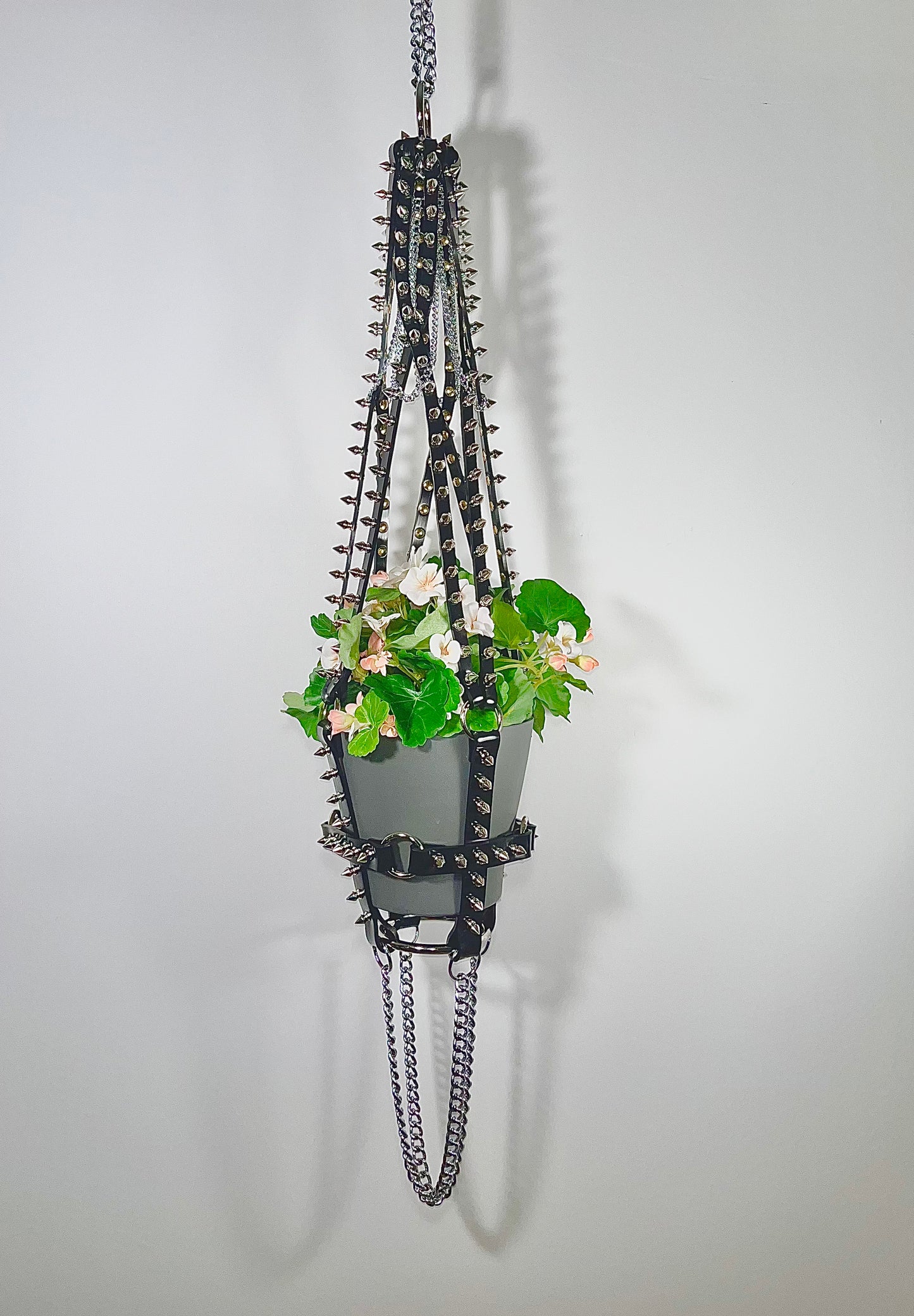 Basic Bitch 6" Plant Hanger in Black