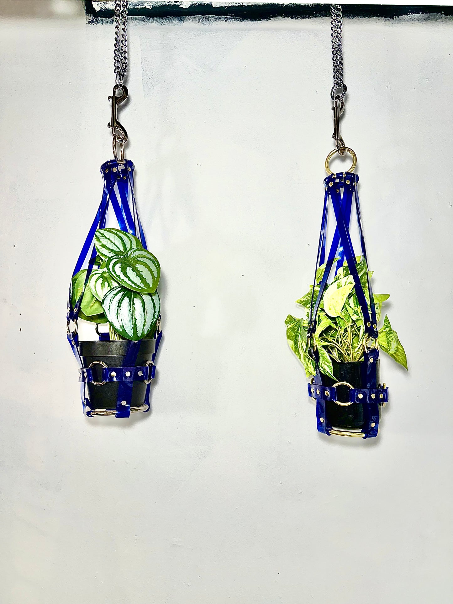 Little  Bitch 4" Vegan Plant Hanger