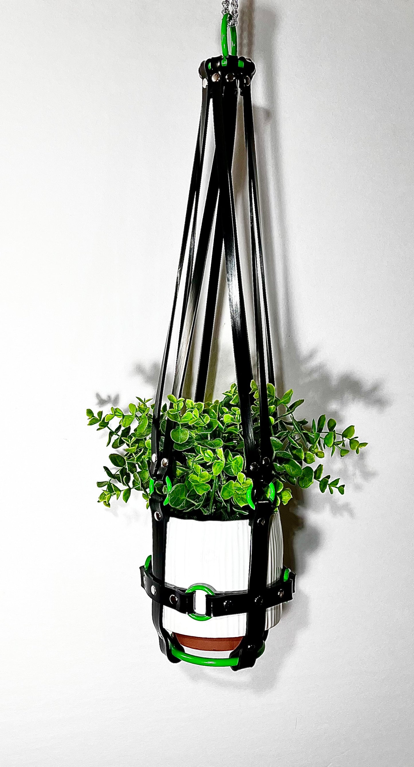 Basic Bitch 6” Plant Hanger with Green rings
