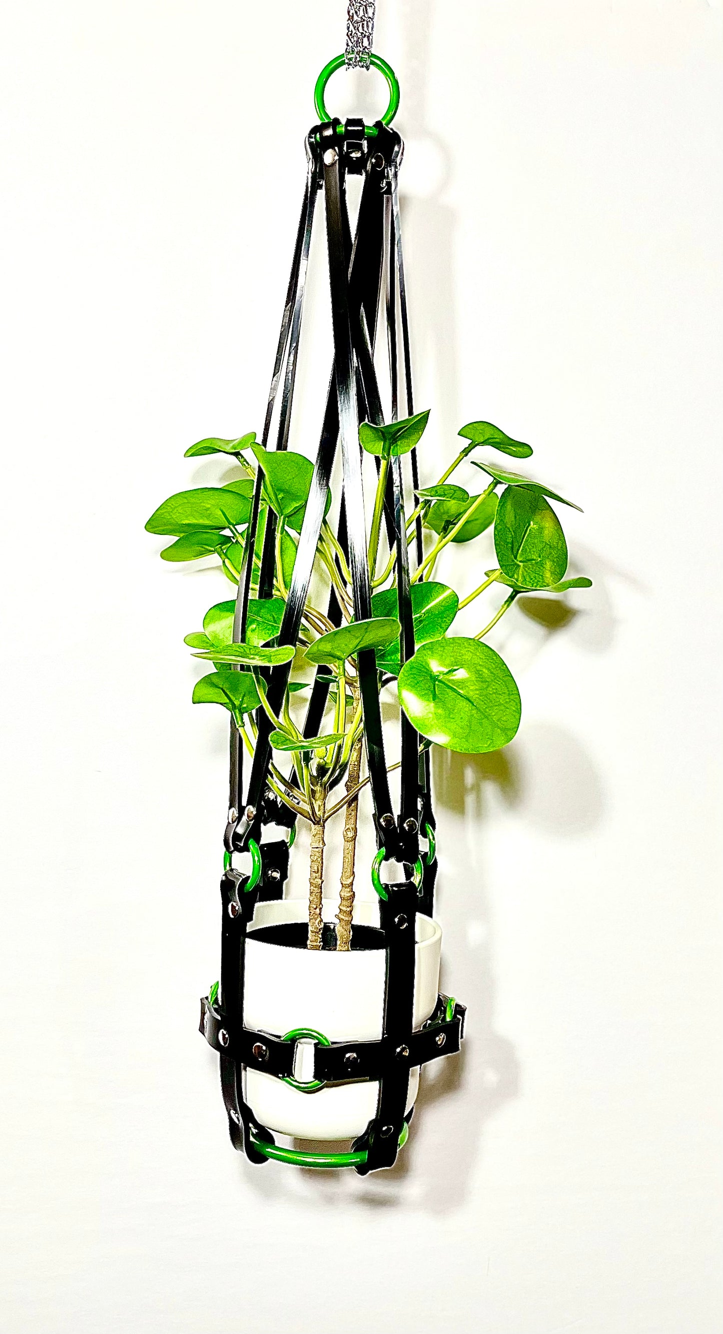 Basic Bitch 6” Plant Hanger with Green rings
