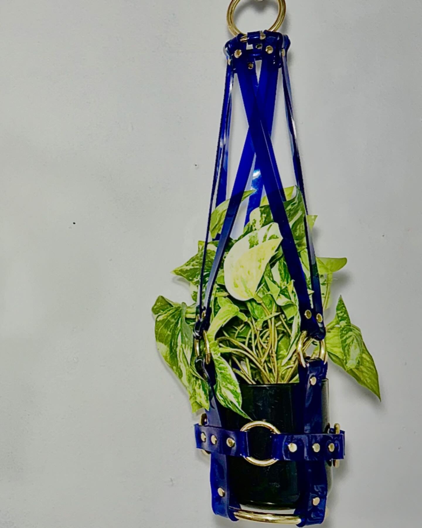 Little  Bitch 4" Vegan Plant Hanger