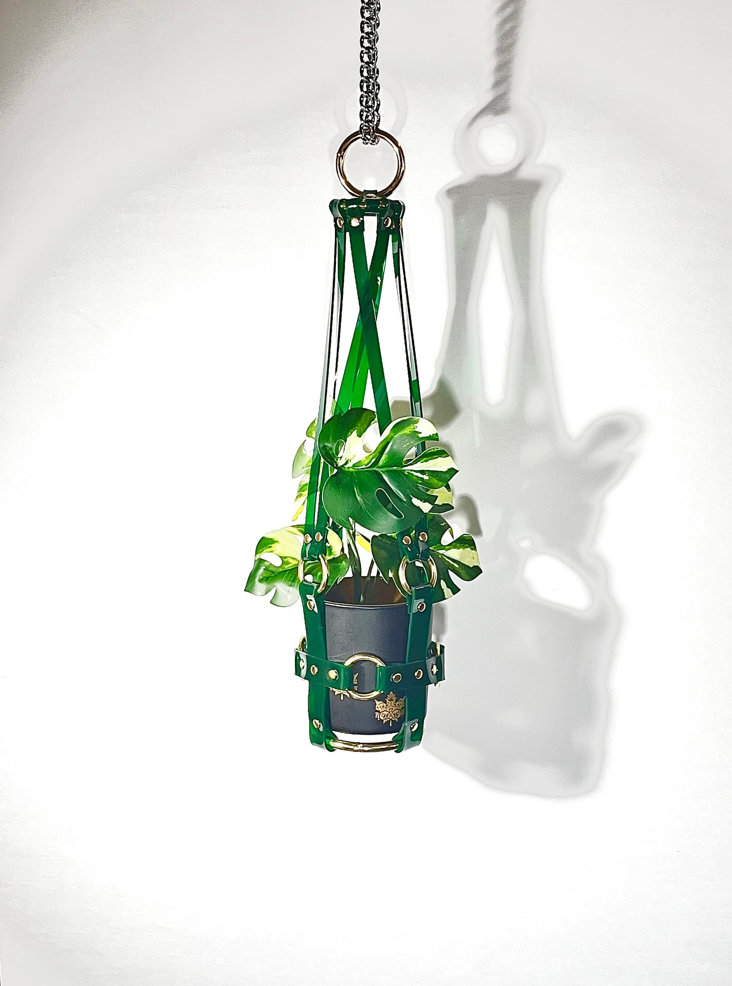 Little  Bitch 4" Vegan Plant Hanger