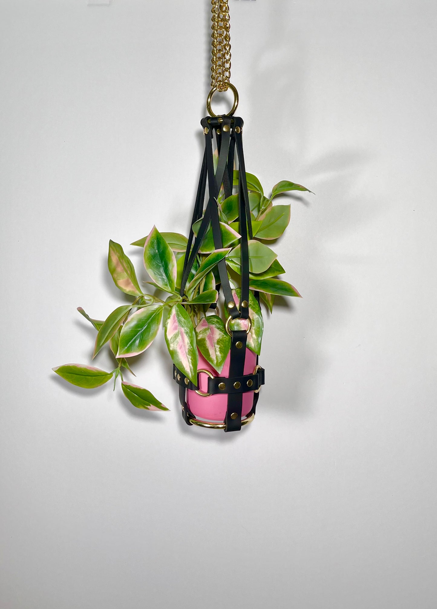 Little Leather Daddy 4" Plant Hanger in Black