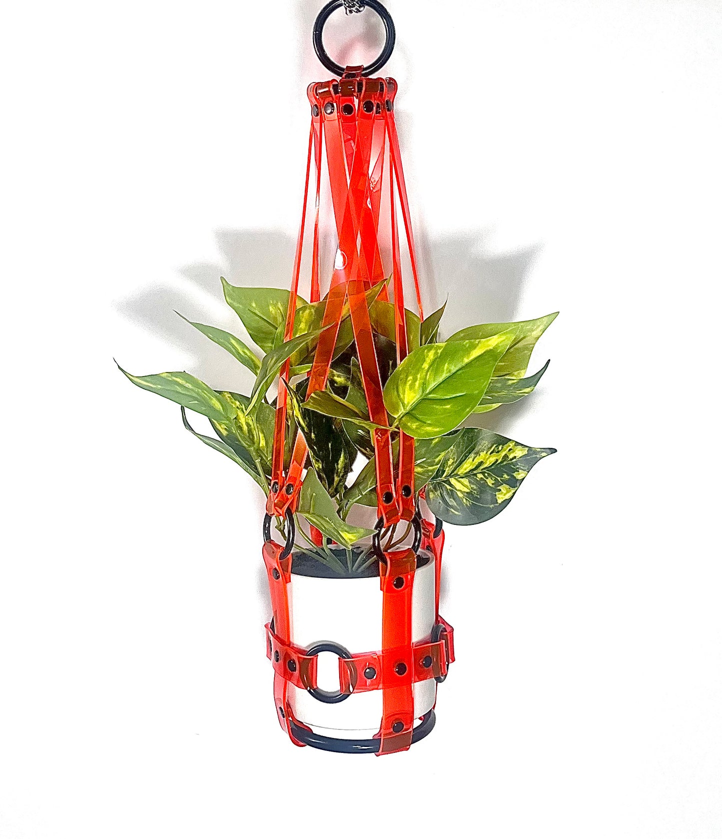 Little  Bitch 4" Vegan Plant Hanger