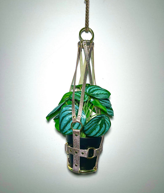 Little Leather Daddy 4" Plant Hanger Gold Leather