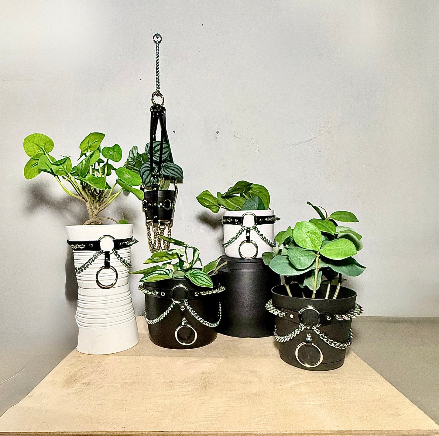 6" Vegan Pot Harness