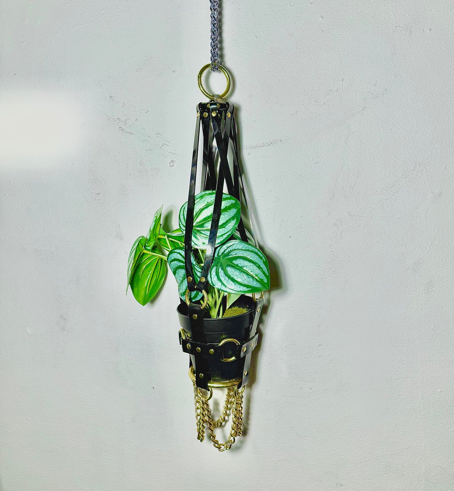 Little  Bitch 4" Vegan Plant Hanger
