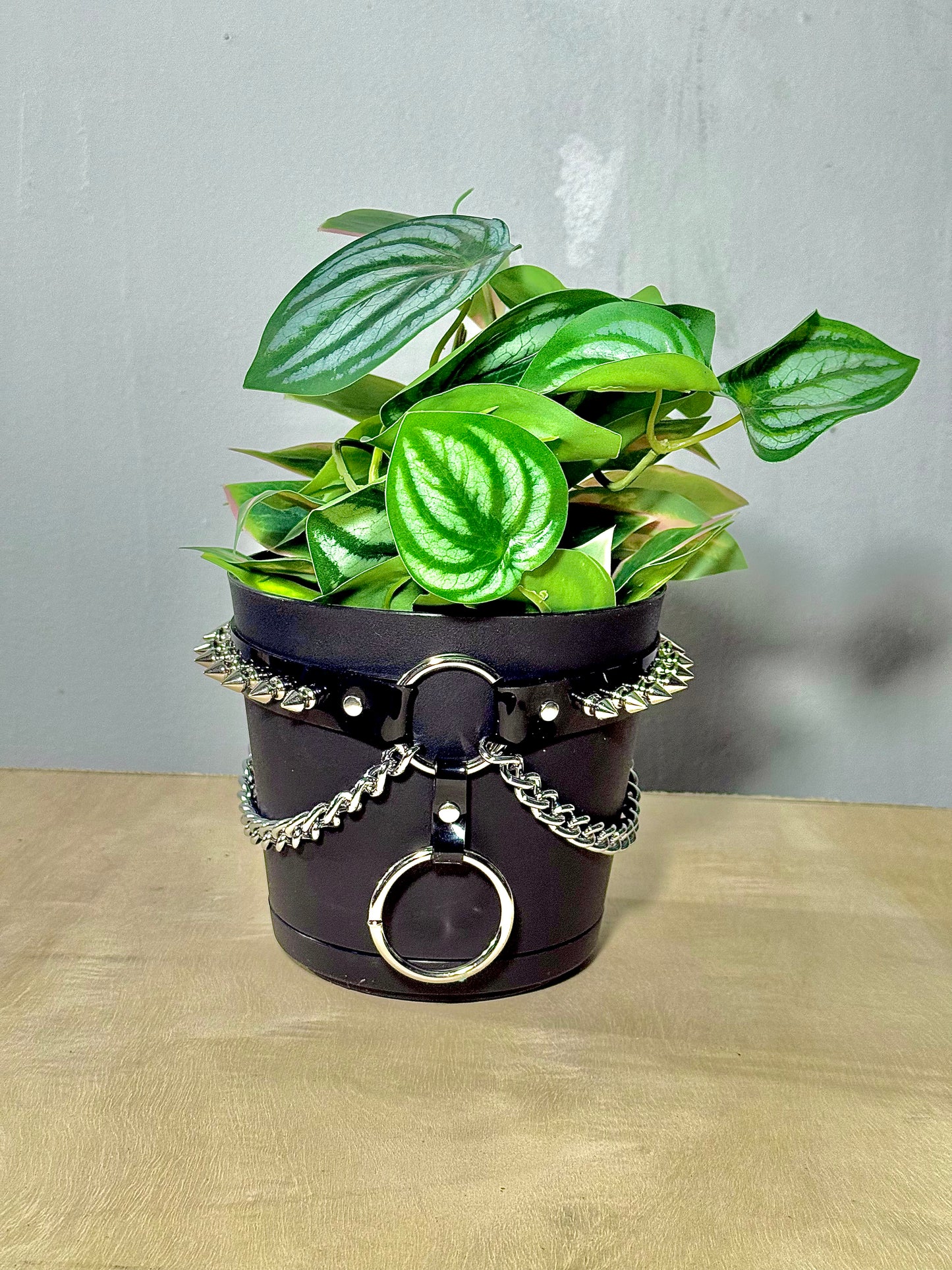 6" Vegan Pot Harness