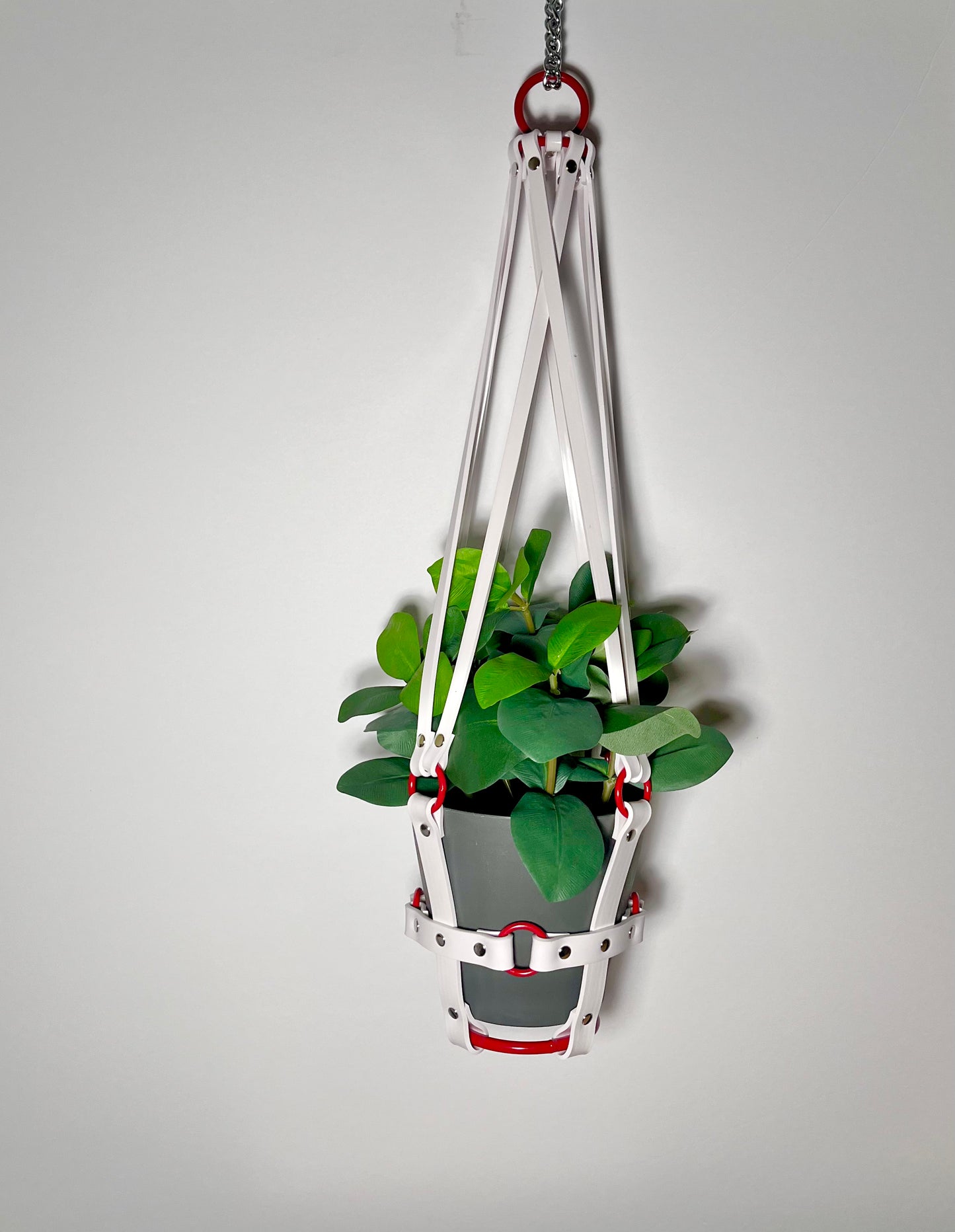 Basic Bitch 6" Plant Hanger with Red Rings