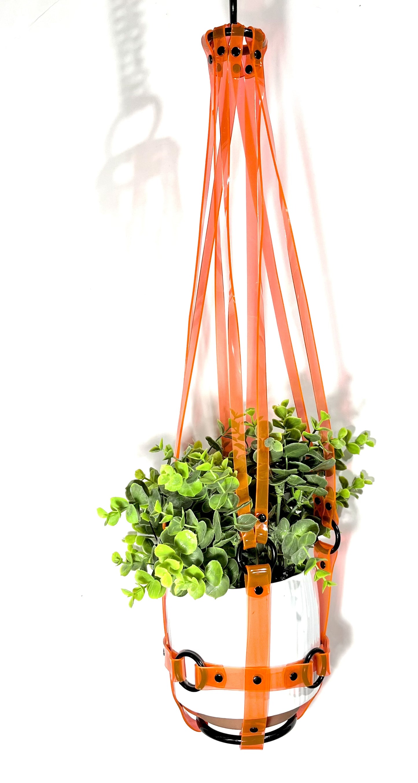 Basic Bitch 6" Plant Hanger in Clear Orange