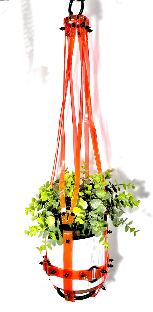 Basic Bitch 6" Plant Hanger in Clear Orange