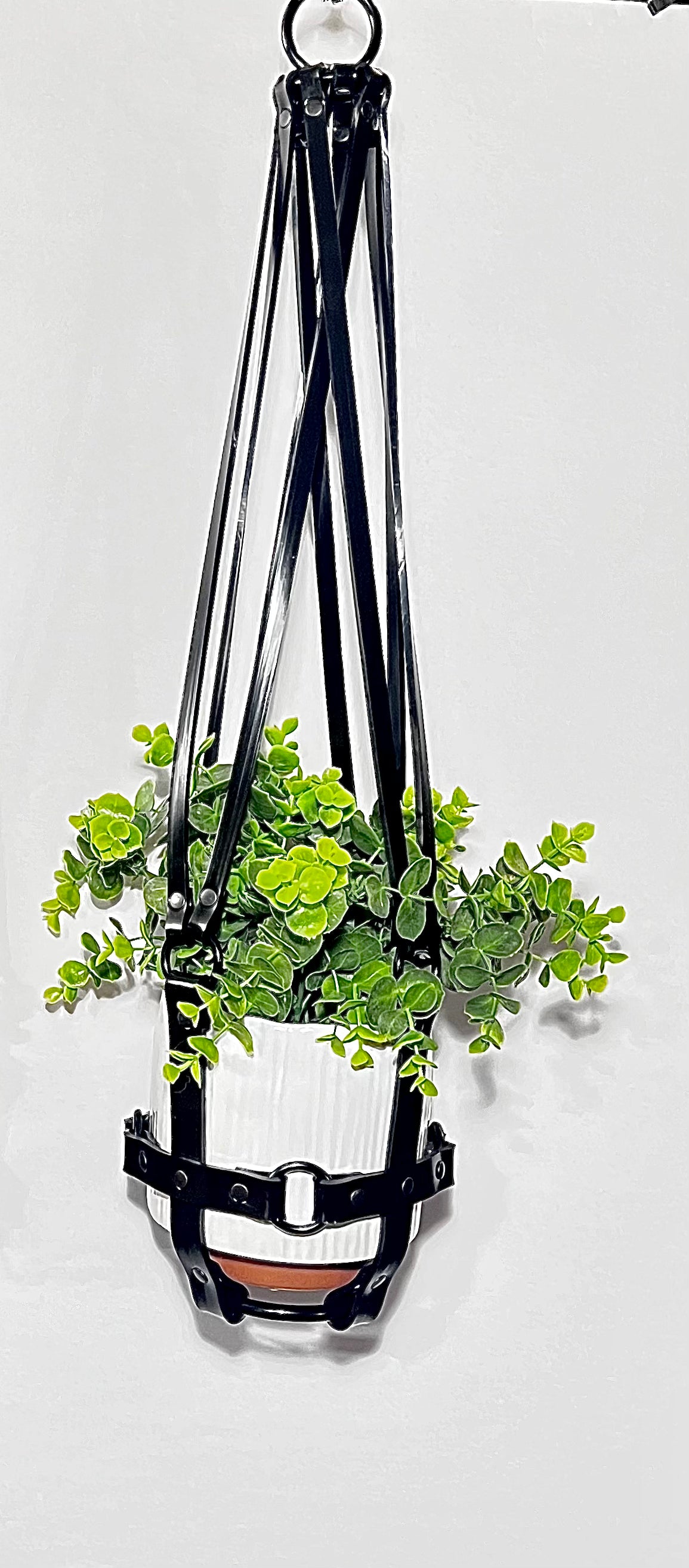 bdsm plant hanger Basic Bitch 6" Vegan Plant Hanger – Puritan Candy