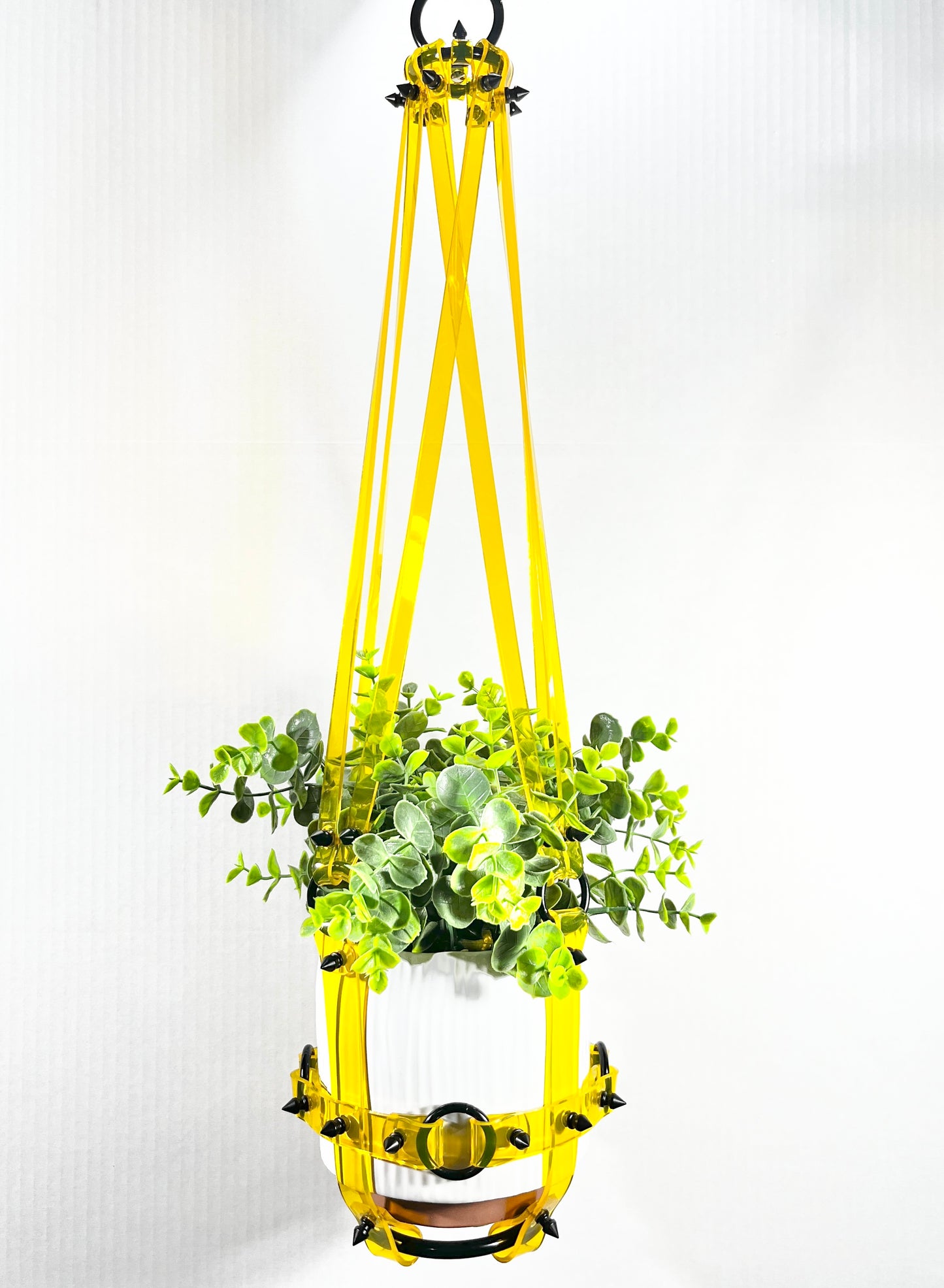 Basic Bitch 6" Plant Hanger in Clear Yellow