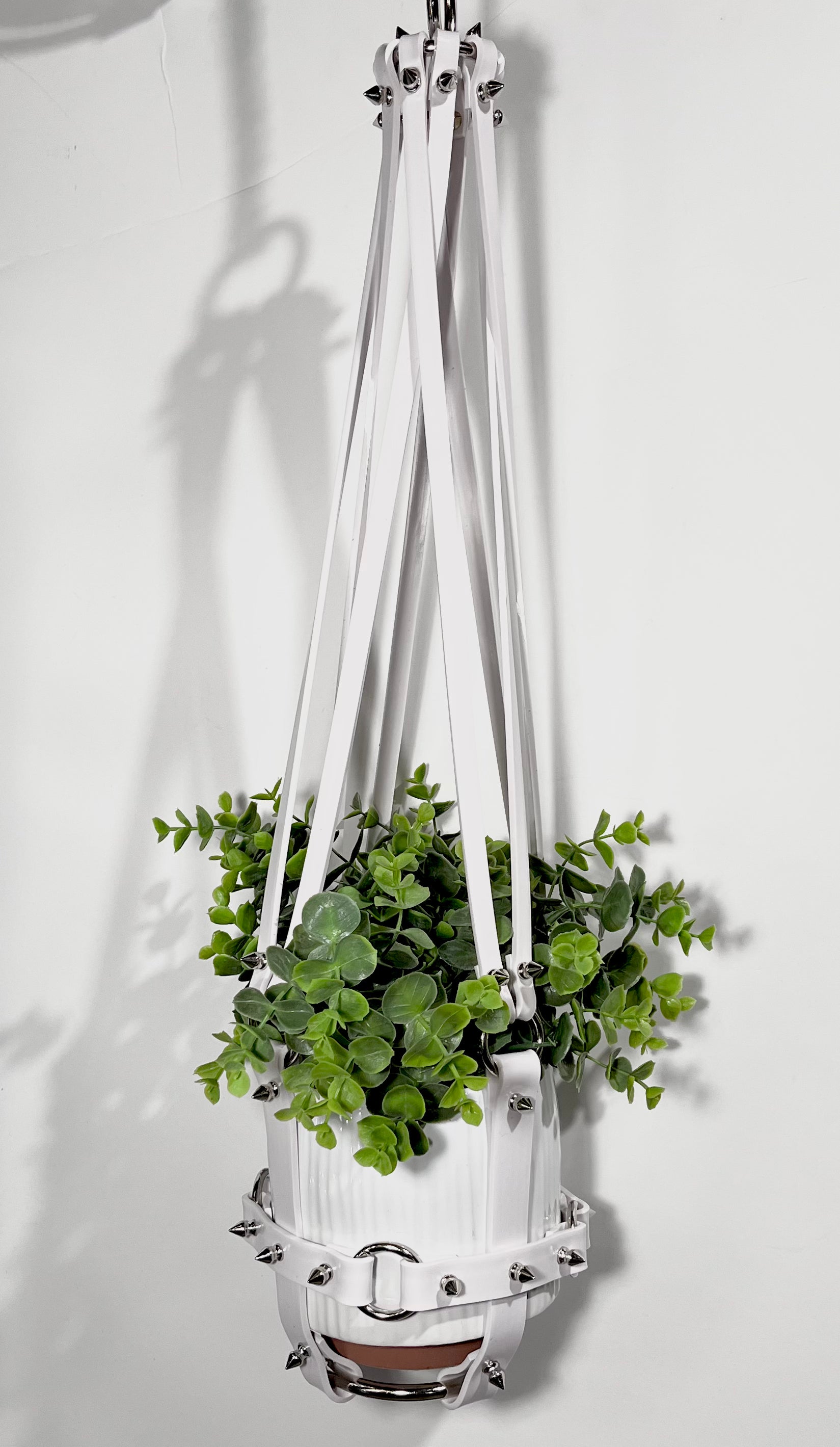 bondage plant hanger Basic Bitch 6" Vegan Plant Hanger – Puritan Candy