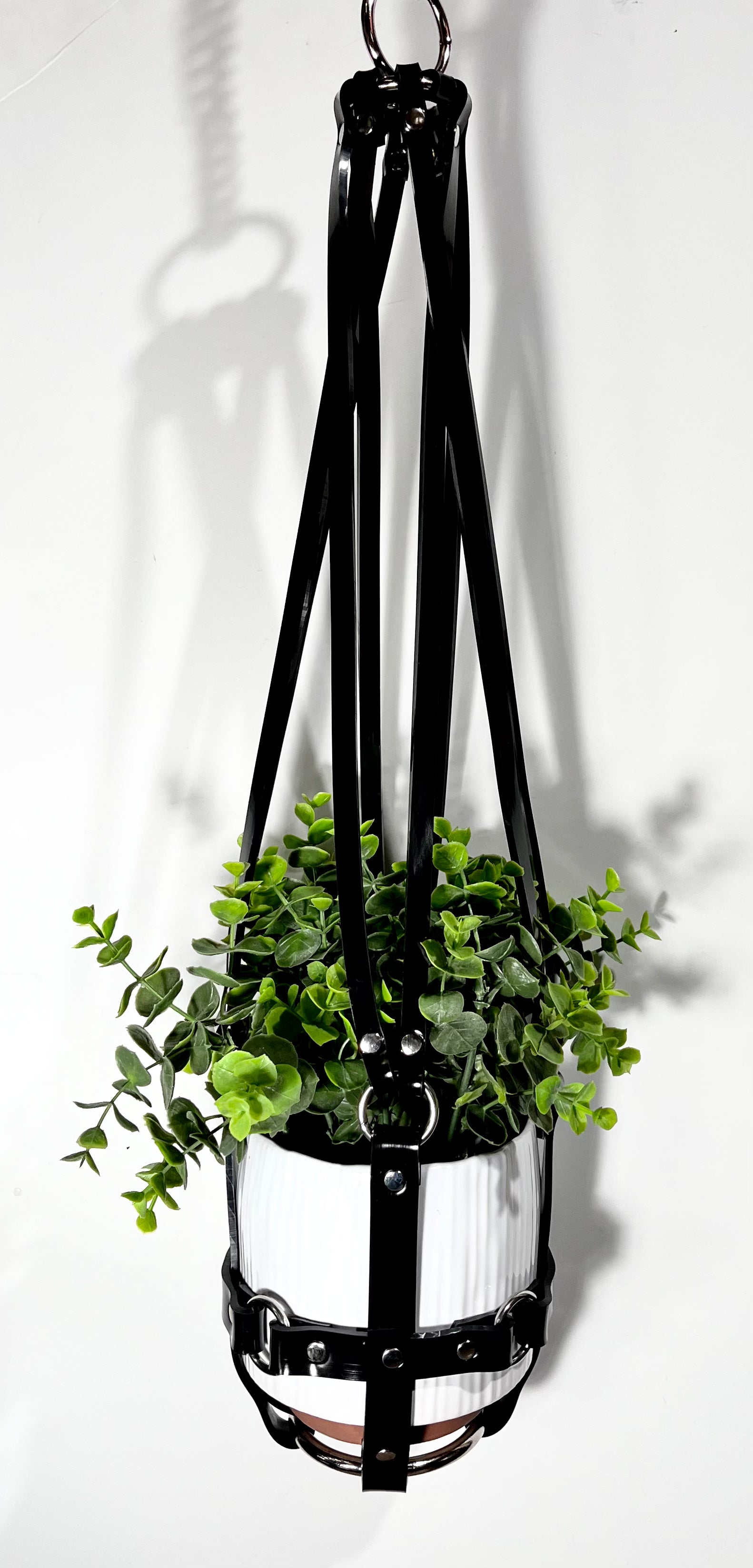 bdsm plant hanger Basic Bitch 6" Vegan Plant Hanger – Puritan Candy