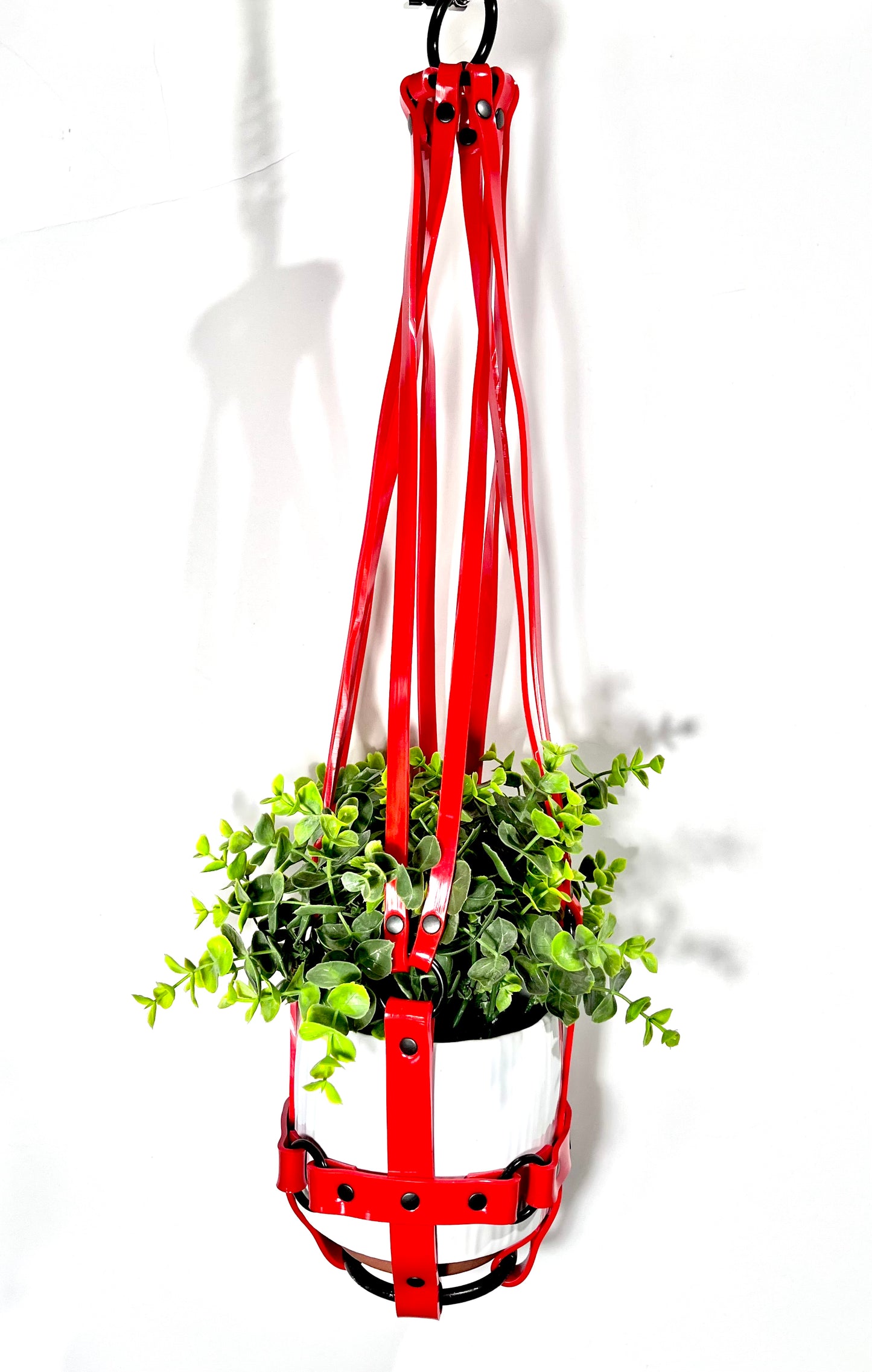 Basic Bitch 6" Plant Hanger in Red