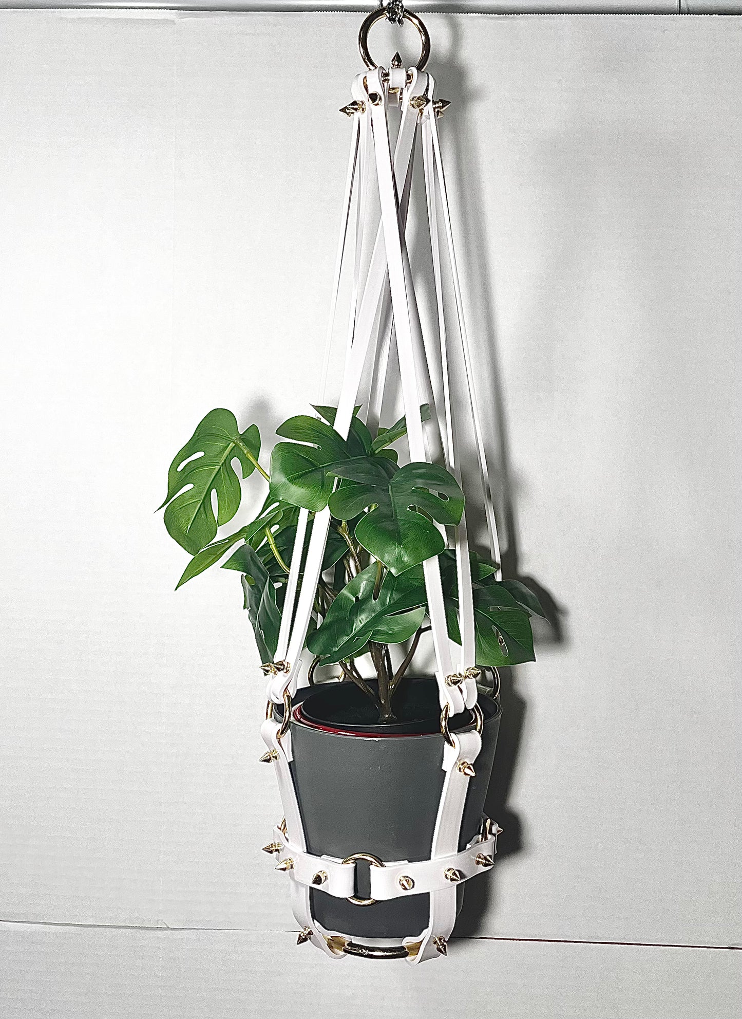 Basic Bitch 6" Plant Hanger in White