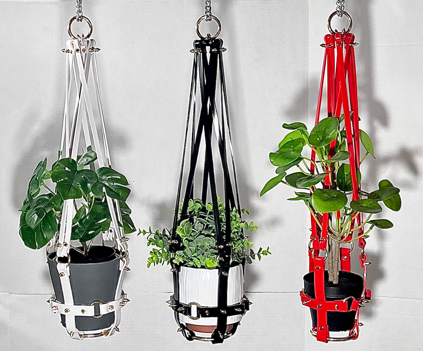 Basic Bitch 6" Plant Hanger in Red