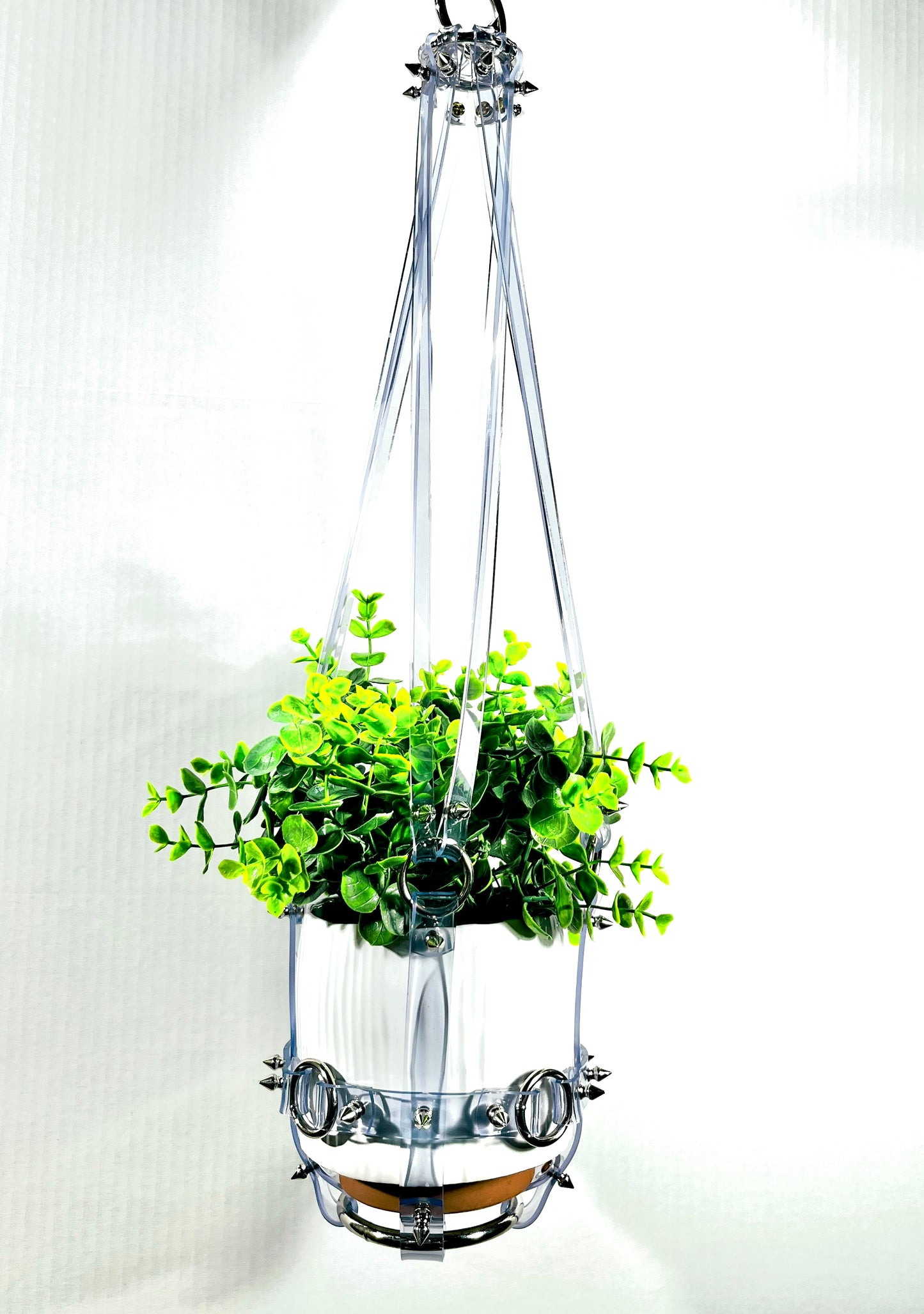 Basic Bitch 6" Plant Hanger in Clear