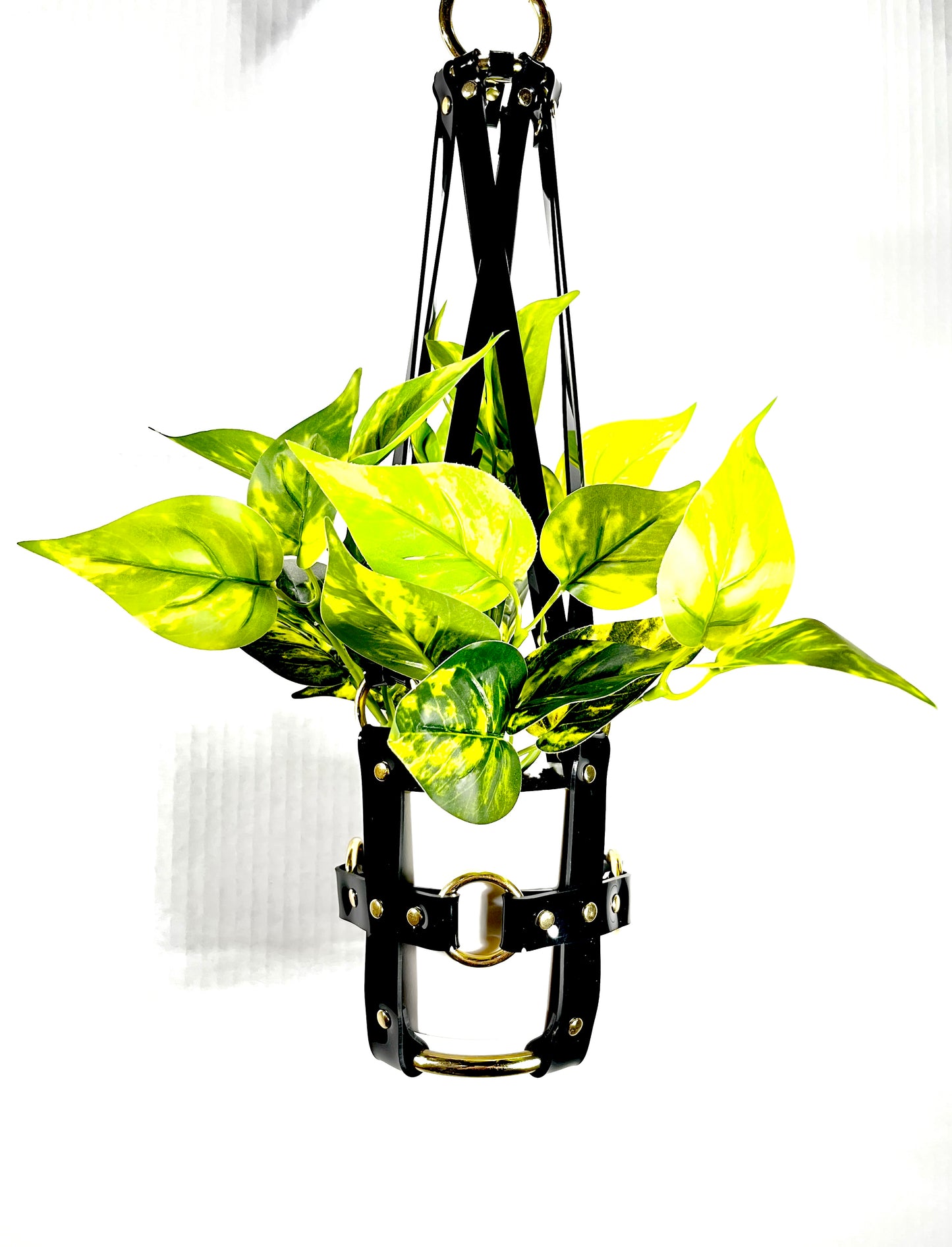 money plant hanger Little Bitch 4" Vegan Plant Hanger – Puritan Candy