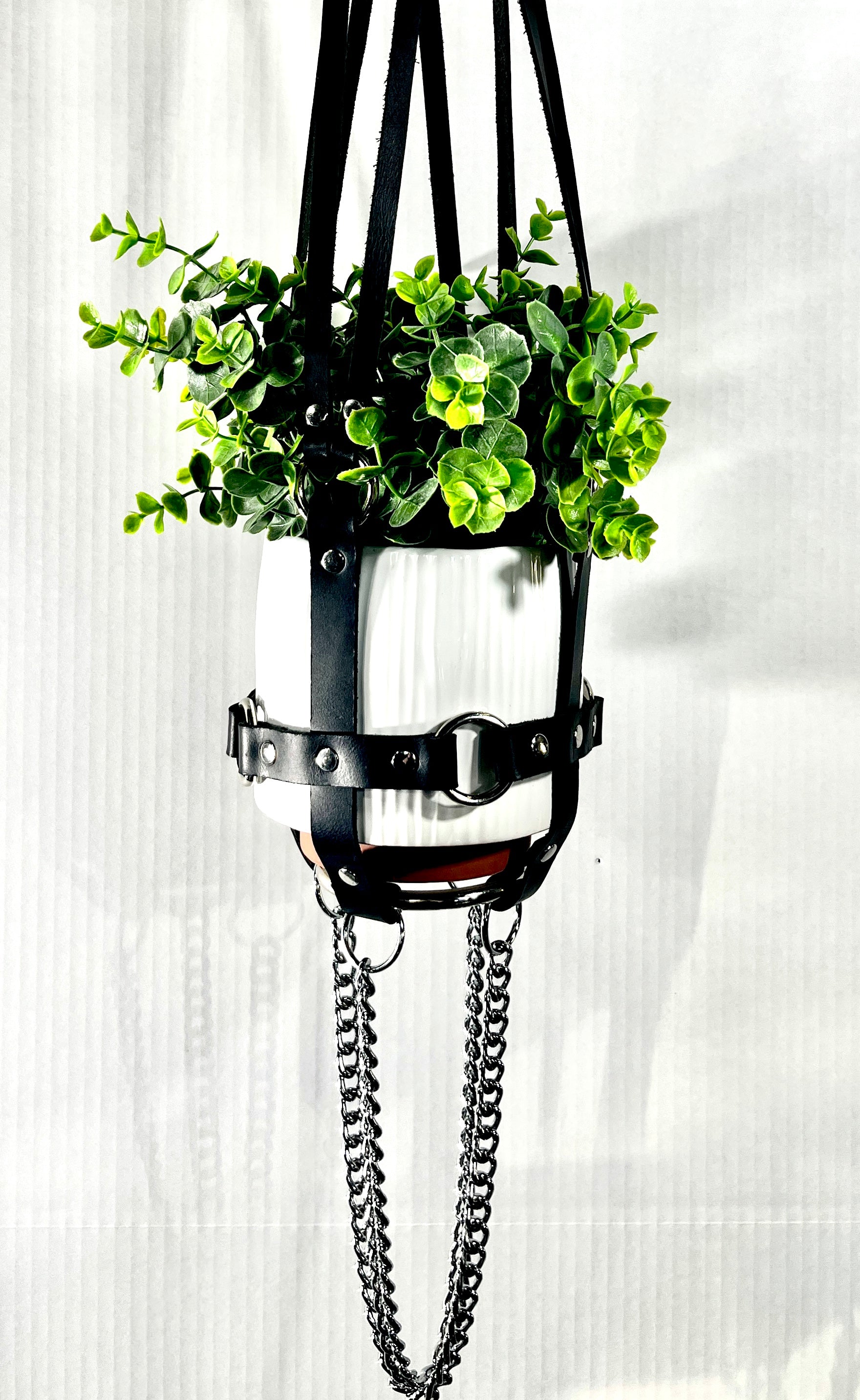 plant hanger black Basic Bitch 6" Vegan Plant Hanger – Puritan Candy