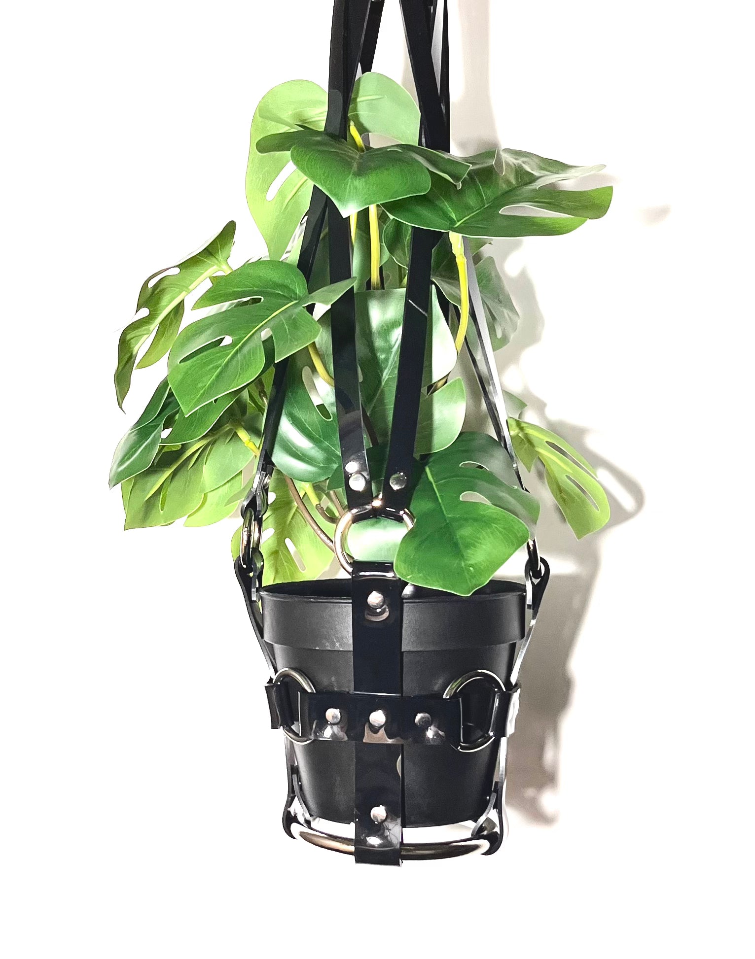 bdsm plant hanger Little Bitch 4" Vegan Plant Hanger – Puritan Candy