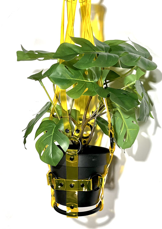 Little Bitch 4" Plant Hanger in Clear Yellow