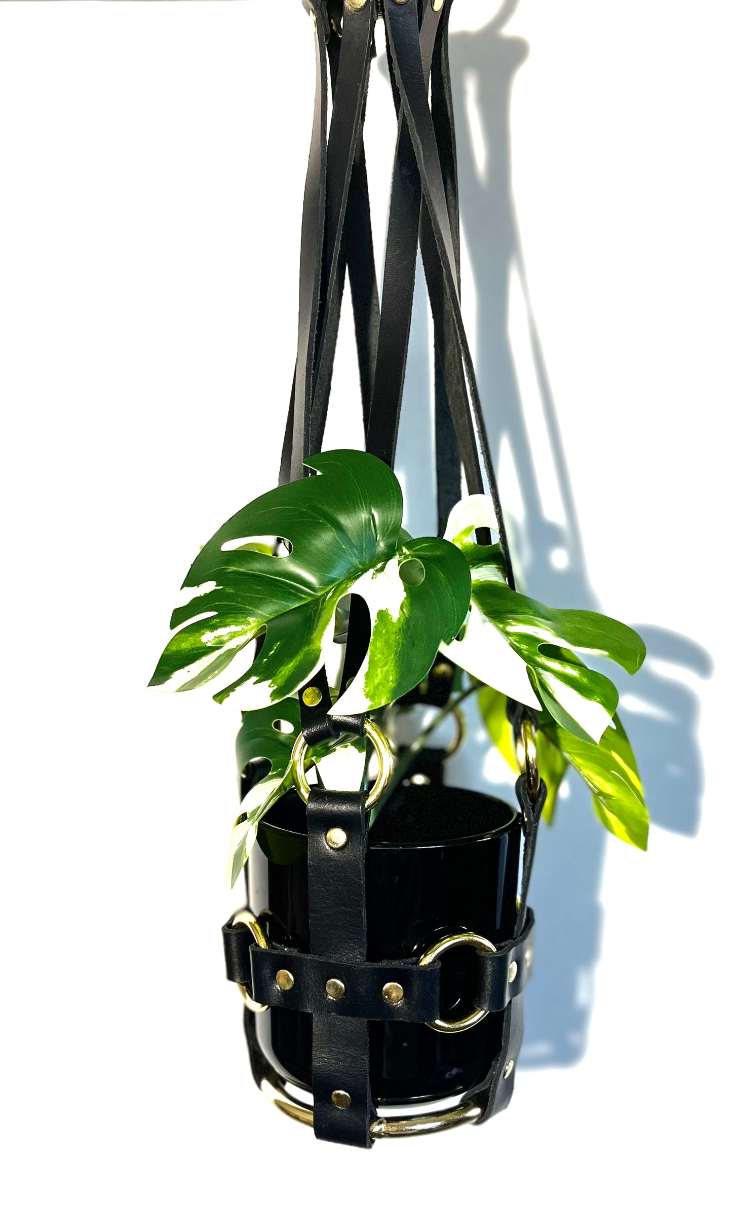 Little Leather Daddy 4" Plant Hanger in Black